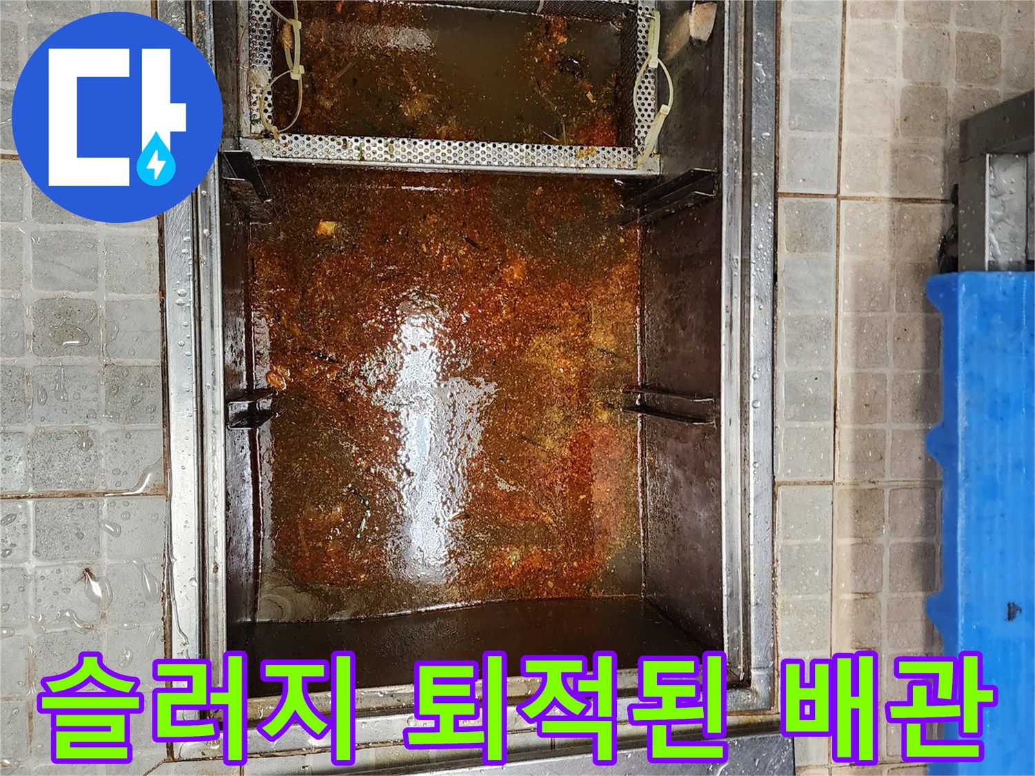 기름 덩어리가 가득한-그리스 트랩 내부 상황