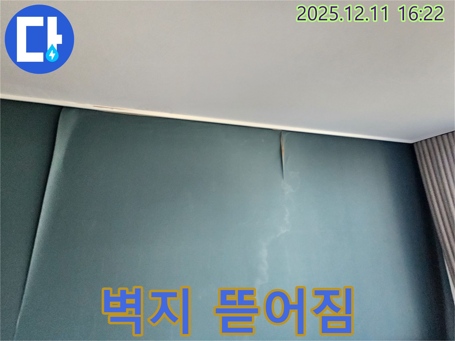 곰팡이가 핀 곳 주변으로 벽지가 뜯어진 모습 - 누수로 인해 벽지가 손상된 것입니다 - 빠른 조치가 필요합니다.