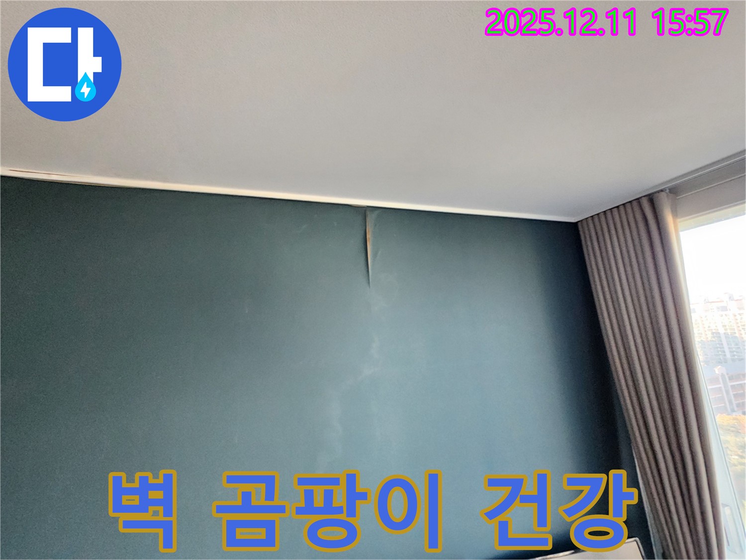 벽 곰팡이 - 건강 적신호 - 포천 누수 전문가의 즉시 해결