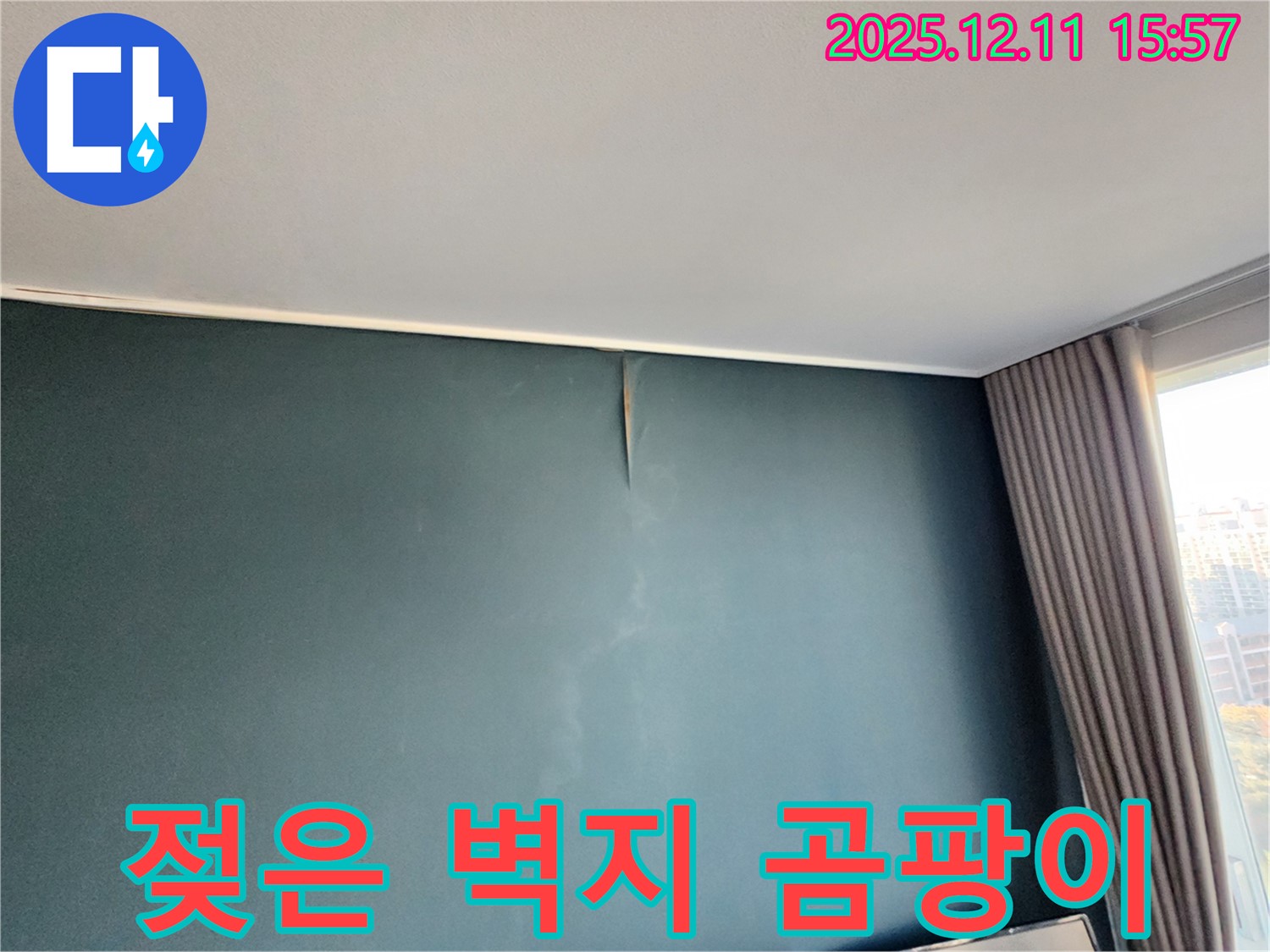 젖은 벽지 - 곰팡이 번식 - 포천 누수 전문가의 신속 해결