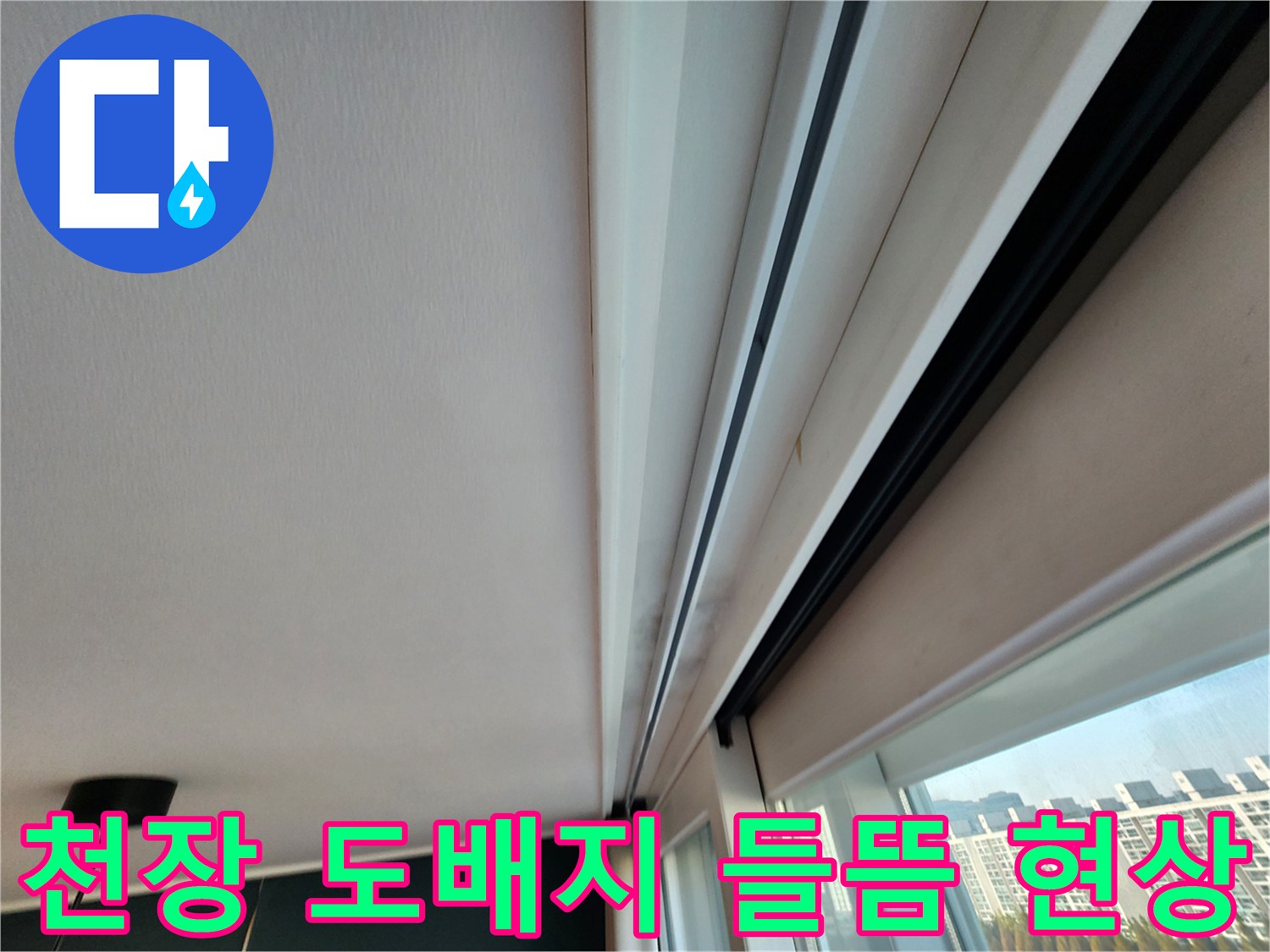 창문 상단 천장 몰딩과 도배지가 젖어 있는 모습