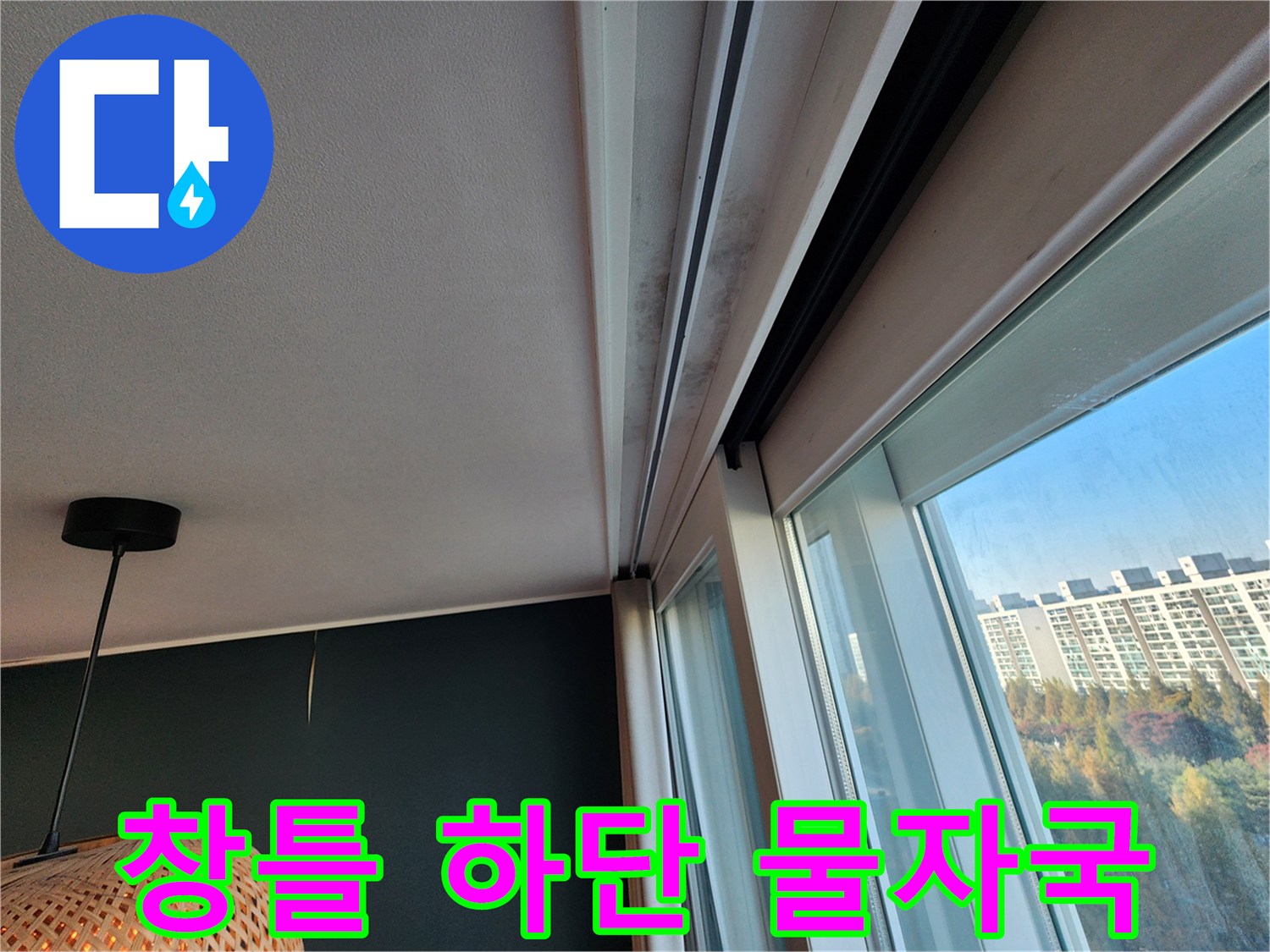 창틀 프레임과 천장 몰딩 사이의 젖은 부위