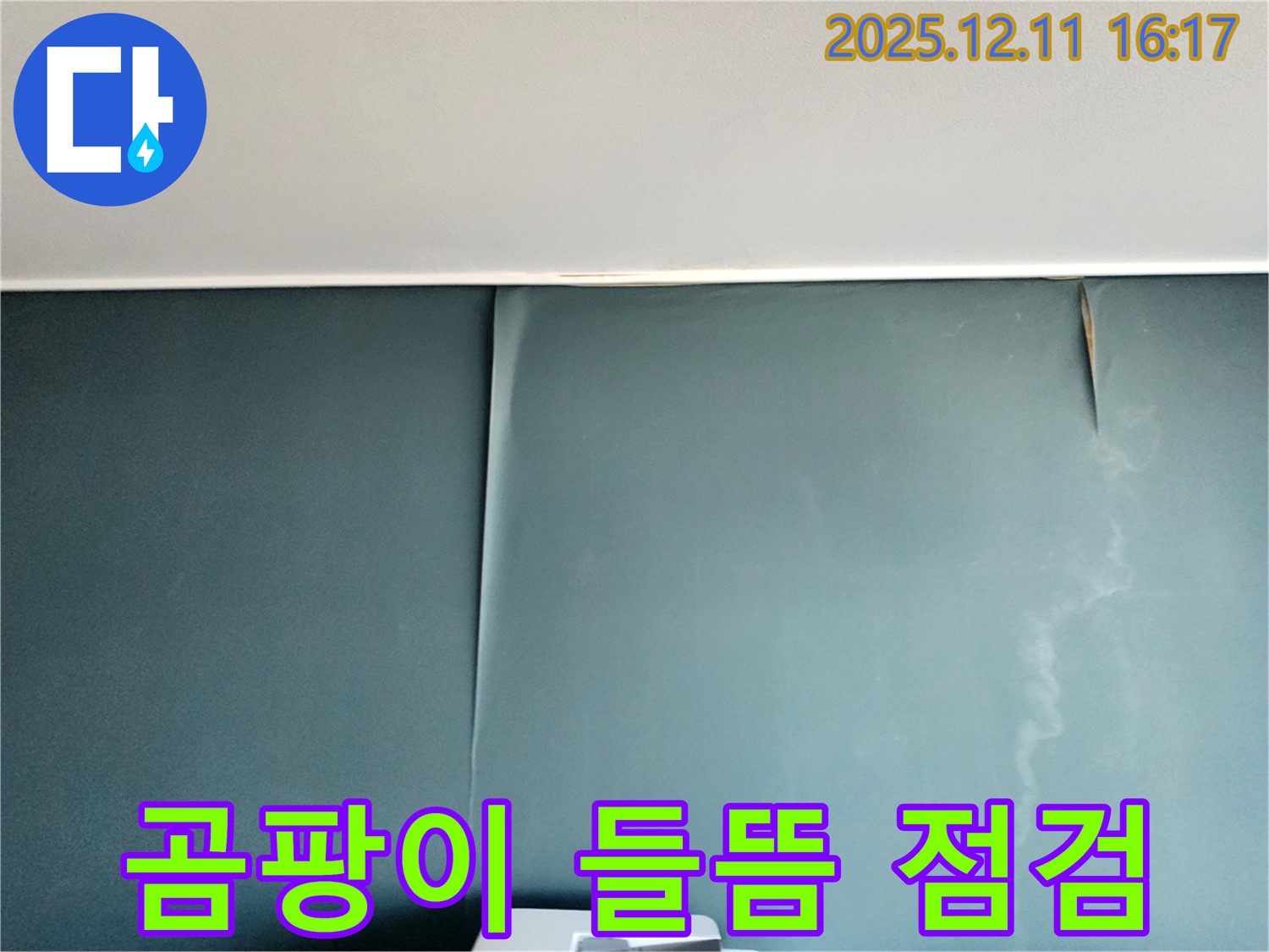 포천 영중면 누수 - 벽지 곰팡이와 들뜸 현상 발견, 긴급 점검으로 초기 대응
