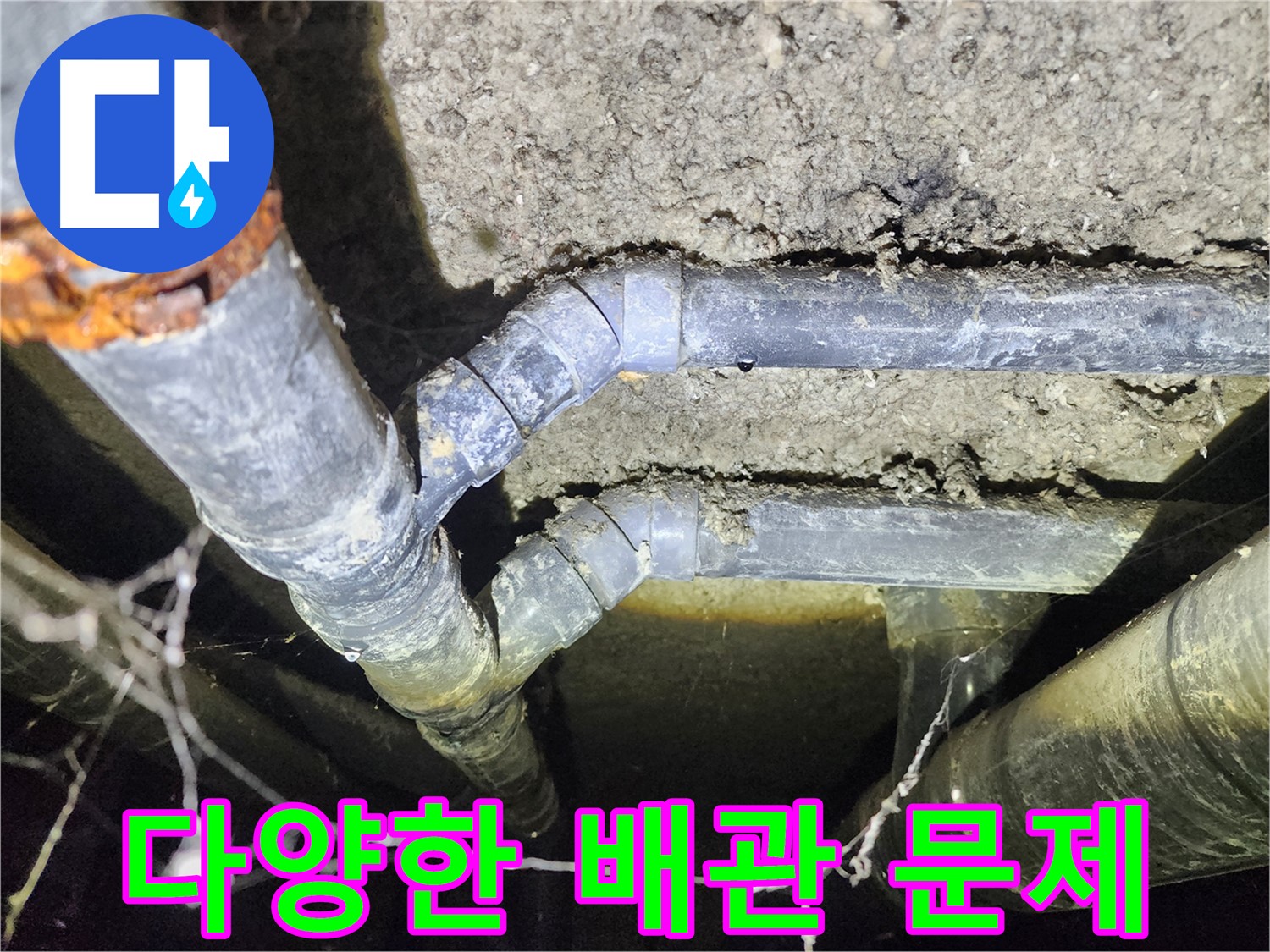 성북구 아남아파트 지하실 천장 누수-다양한 종류의 배관에서 발생한 문제