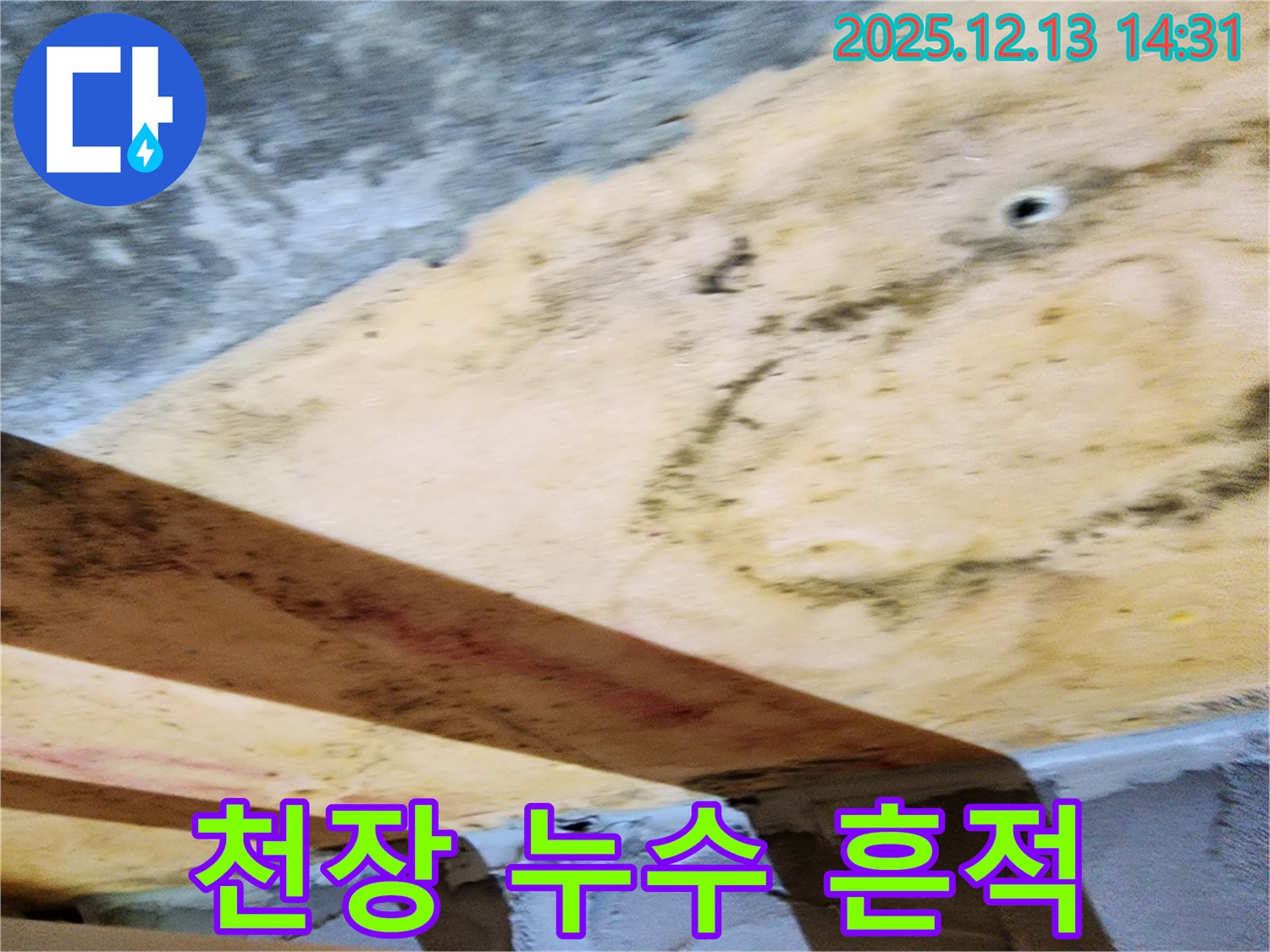 천장 누수 흔적 - 곰팡이와 물 자국이 천장을 오염시키고 있다.
