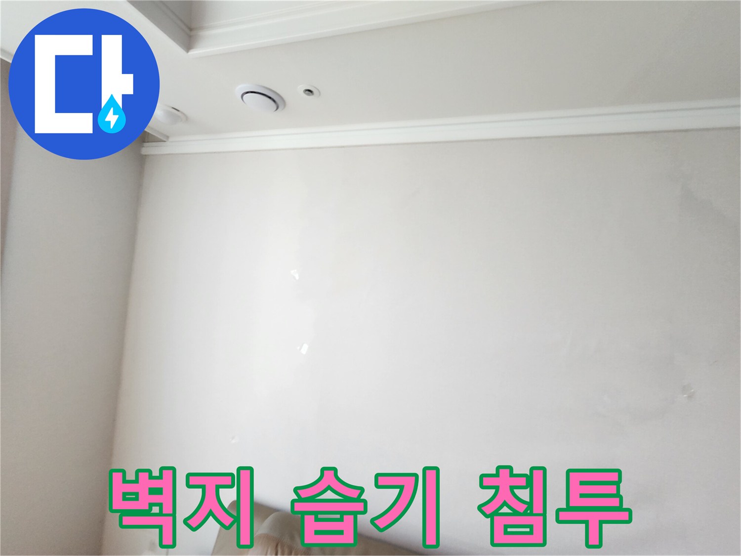 영중면 현장의 젖은 벽지와 천장 몰딩 부위