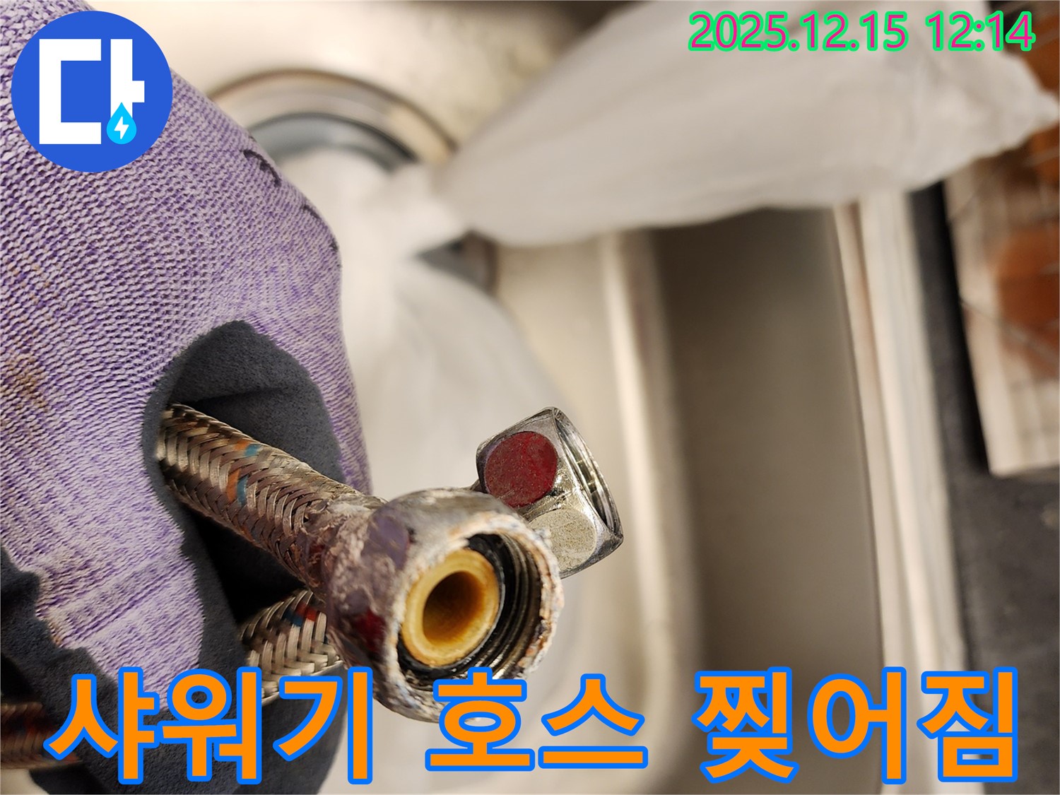 찢어진 샤워기 호스 - 새 호스로 긴급하게 교체했습니다.