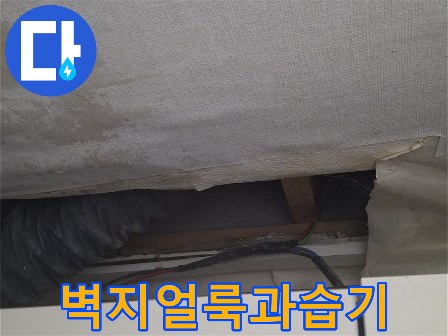 젖은 벽지-물기가 스며들어 변색된 벽면의 모습