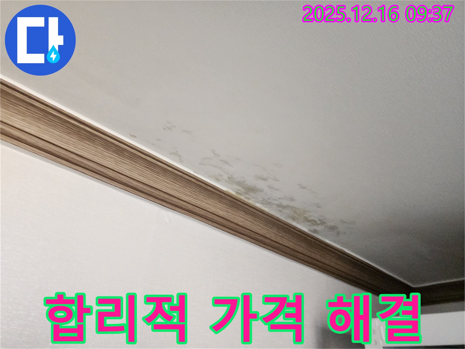 경기도 포천시 영북면 곰팡이 천장 - 합리적인 가격에 완벽한 누수 해결!