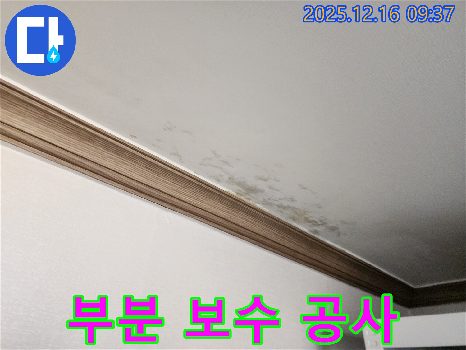 경기도 포천시 - 천장 누수 부분 보수 공사로 비용 절감