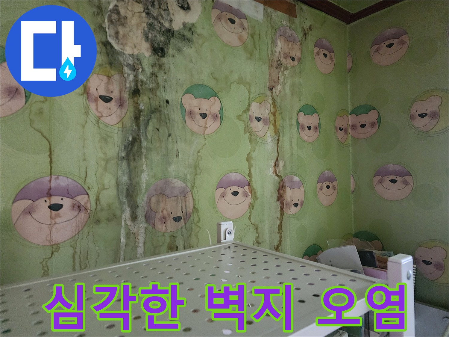 곰팡이와 물자국이 가득한 벽면 모습