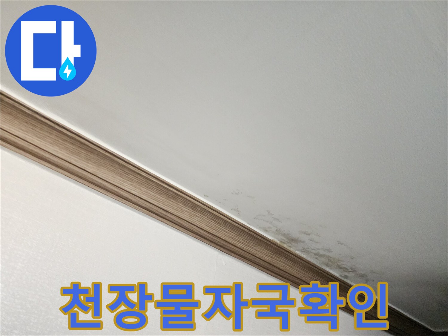 몰딩 주변의 물자국과 벽지 변색 부위