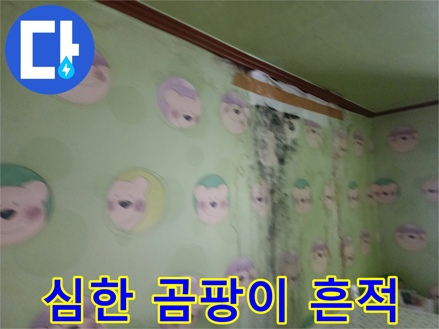 벽면-상단부터-하단까지-번진-곰팡이-자국