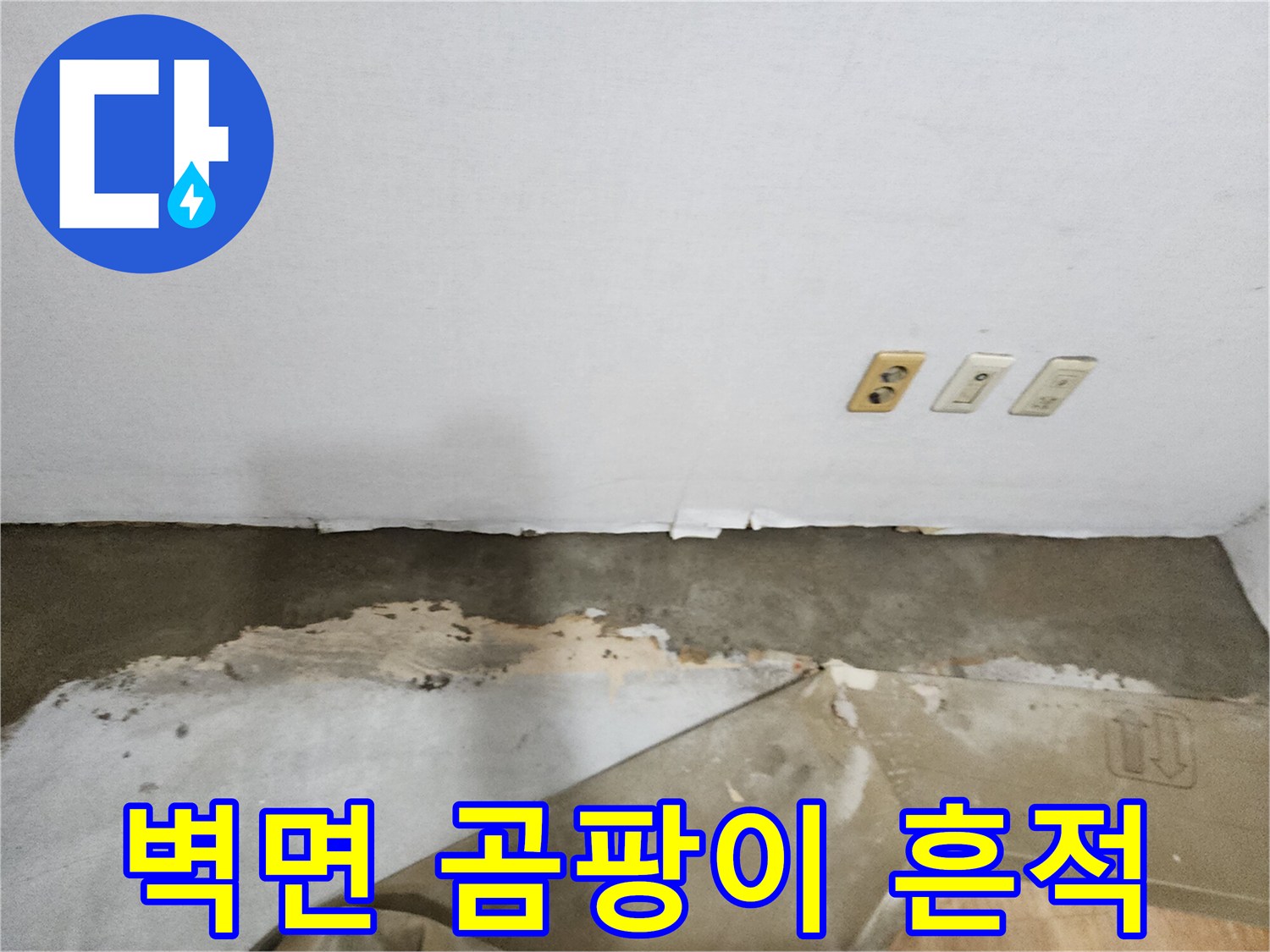 벽지 하단부-곰팡이와 습기로 인한 변색 상태