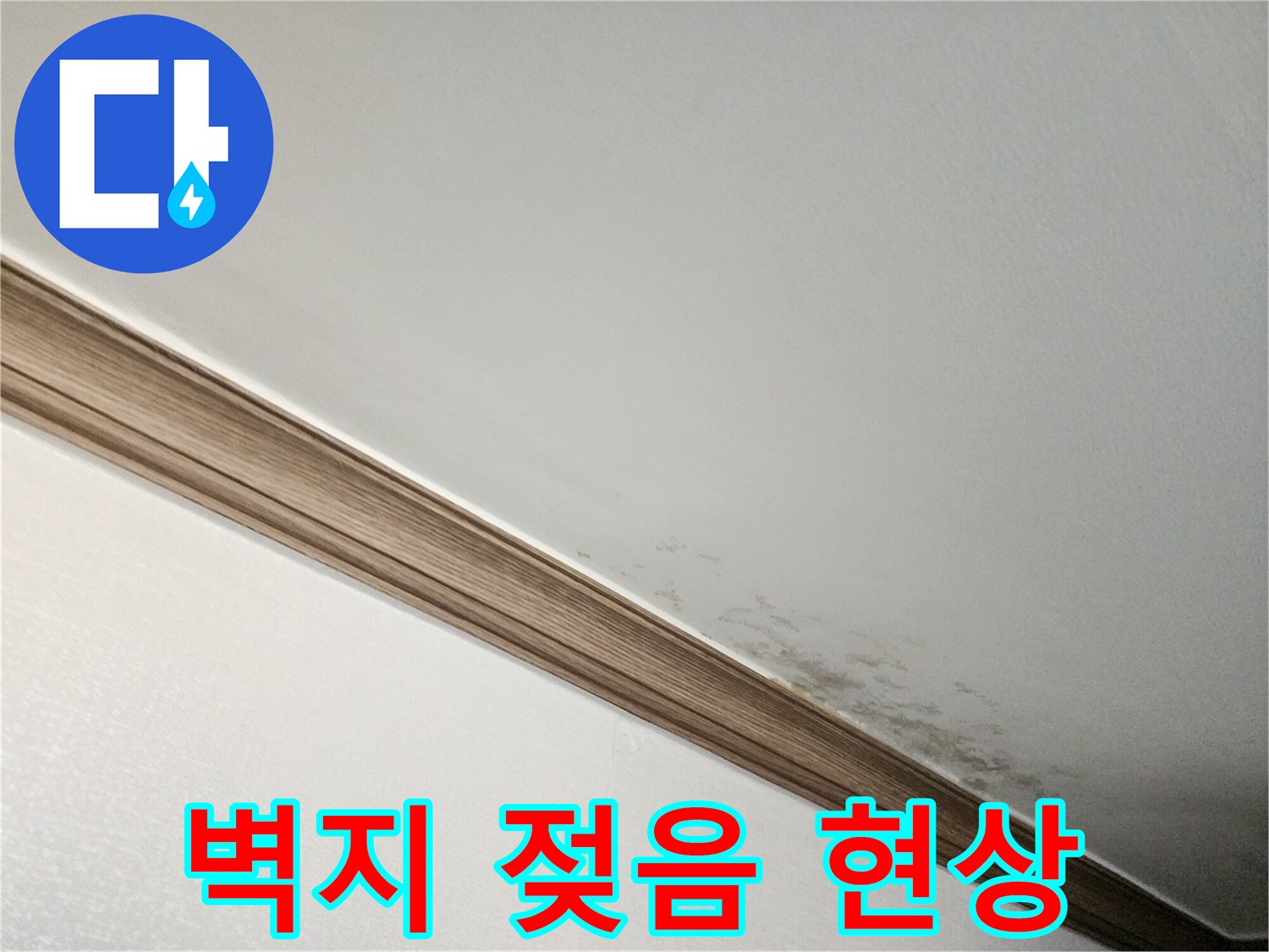 젖은-벽지와-함께-나타난-곰팡이-번짐-현상