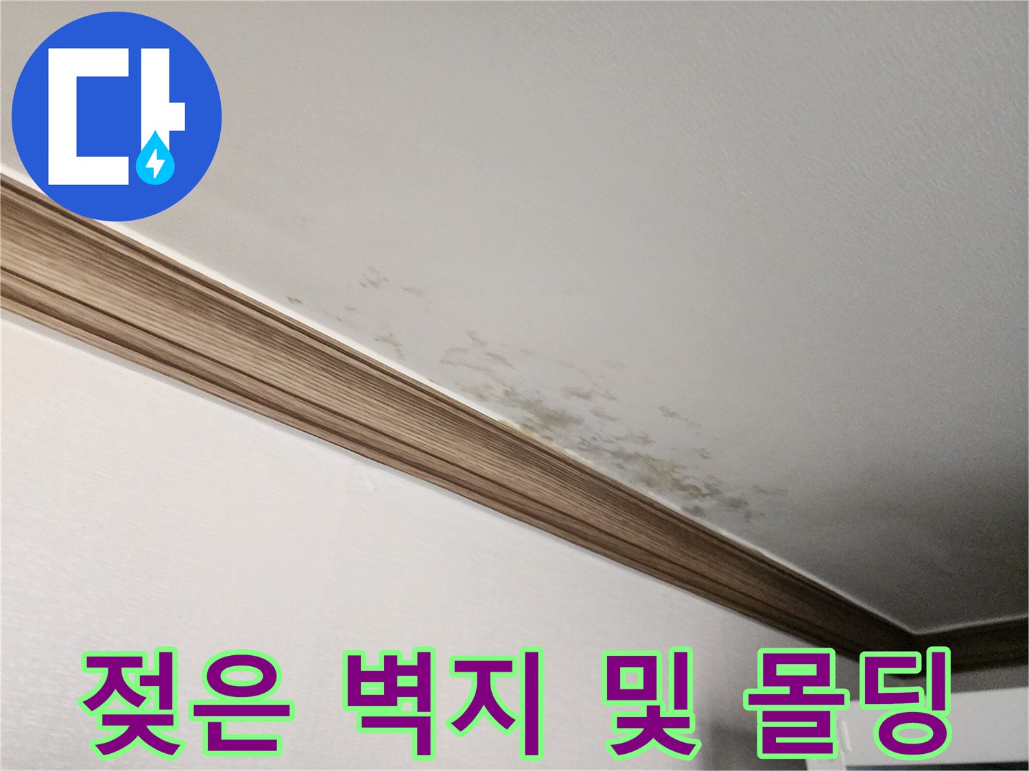 천장-경계면의-습기와-벽지-변색된-모습