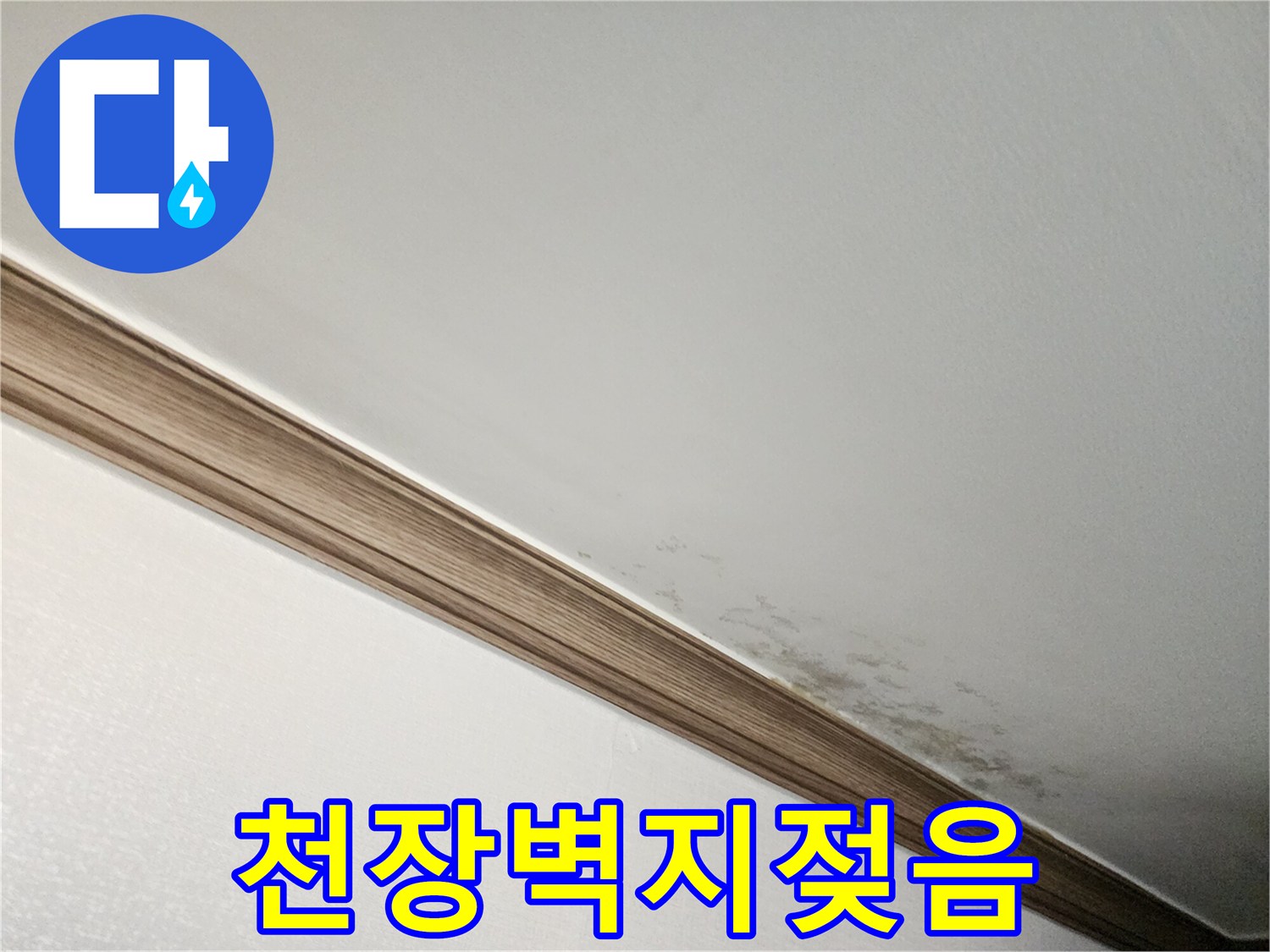 천장 몰딩 경계에 발생한 곰팡이와 습기 흔적
