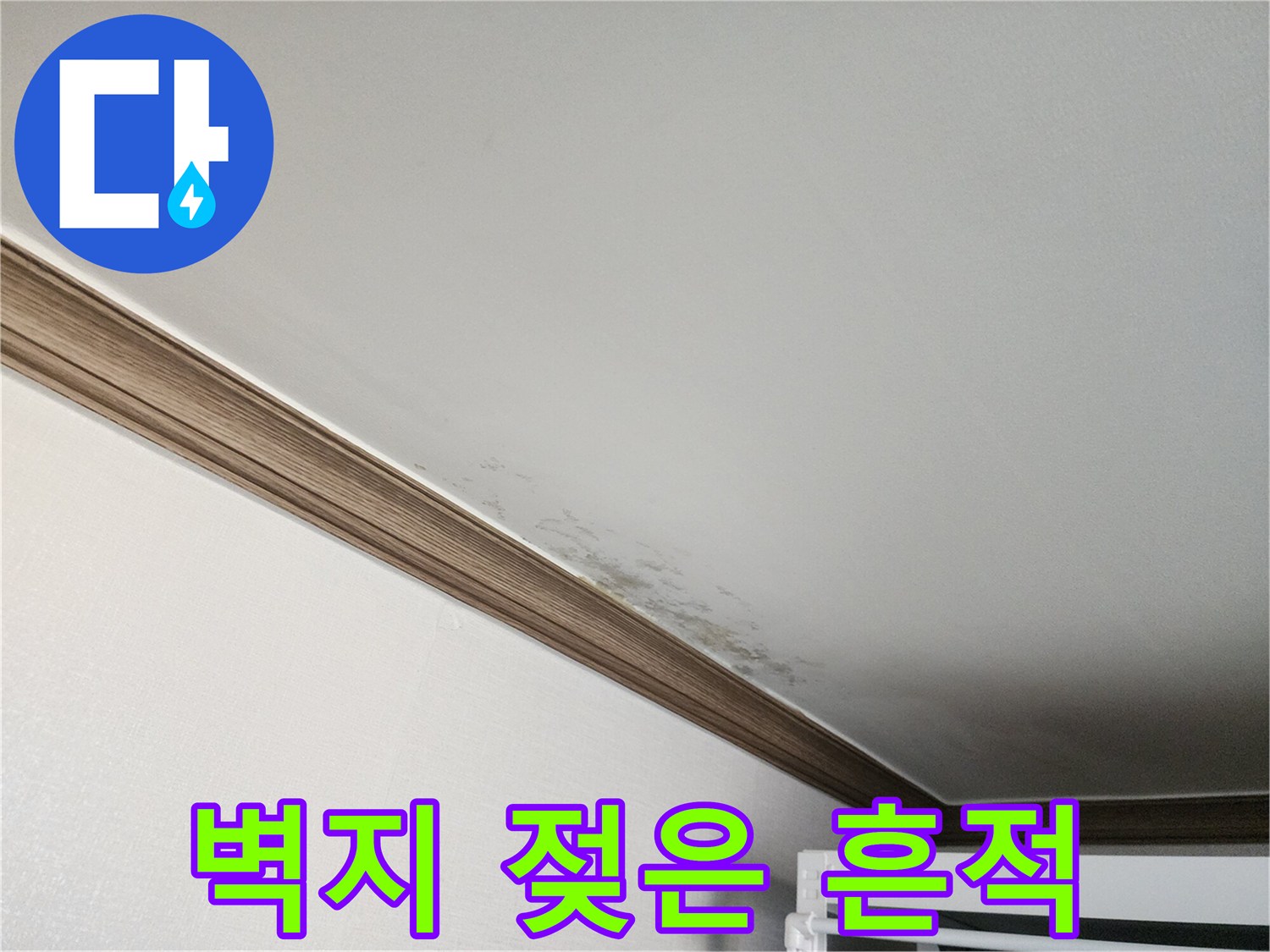 천장 벽면의 얼룩덜룩한 곰팡이 및 누수 자국