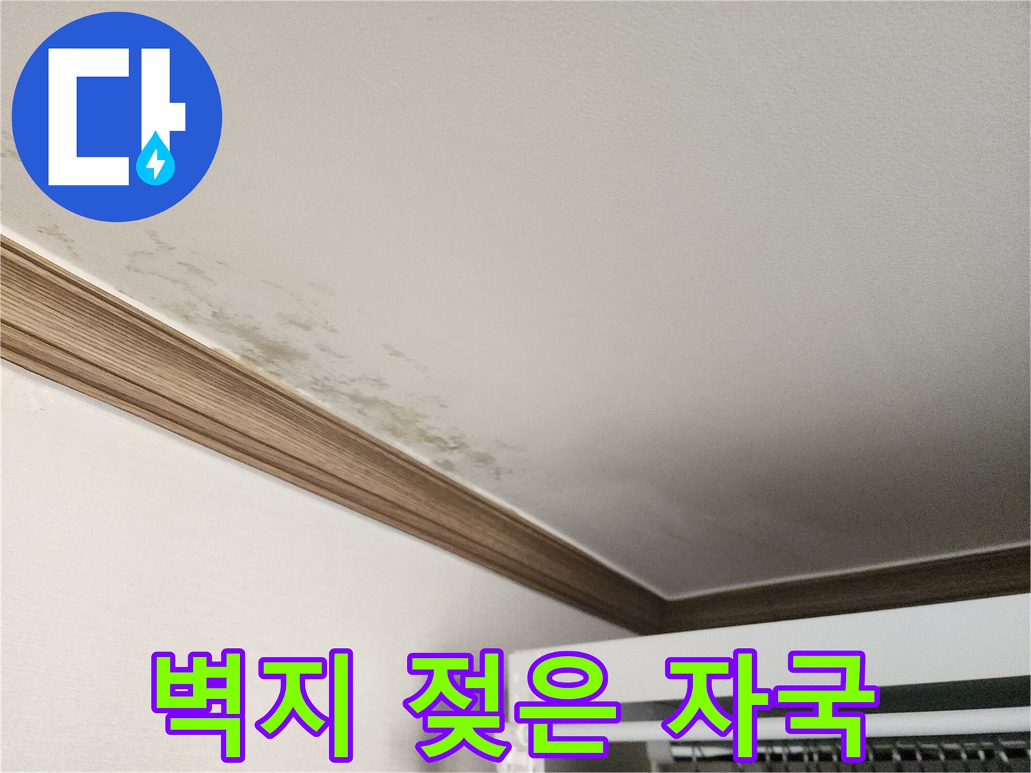 천장 벽지에 발생한 광범록한 물자국과 변색 부위