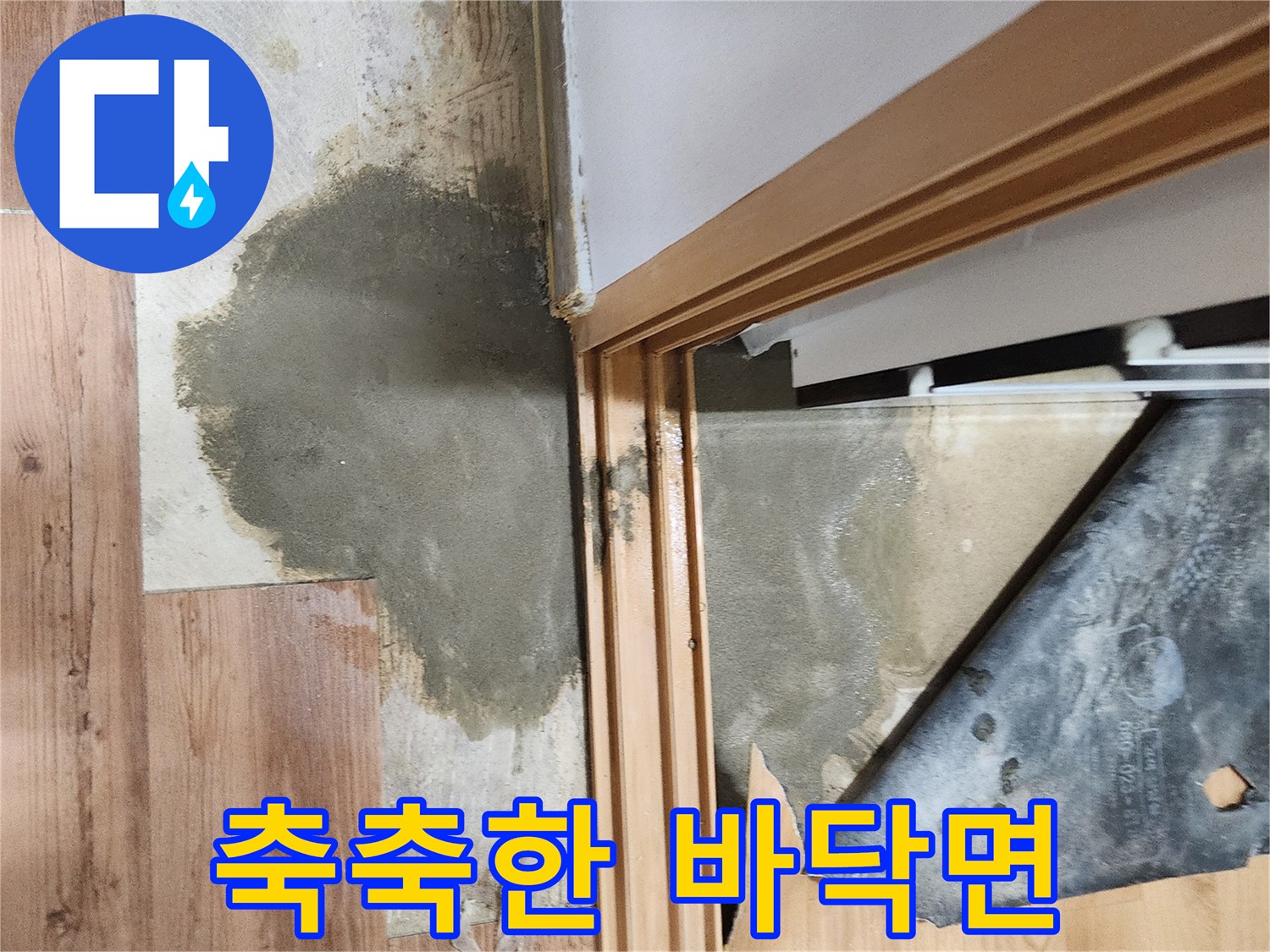 경계 구역-물기가 스며든 마루 표면