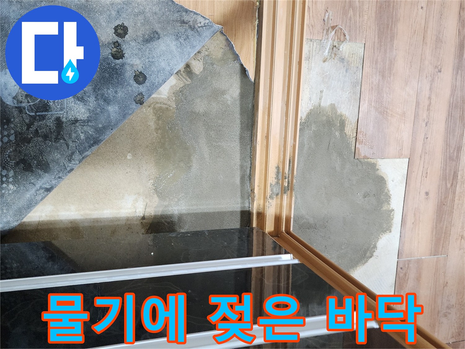 습기가 침투하여 얼룩진 나무 바닥재