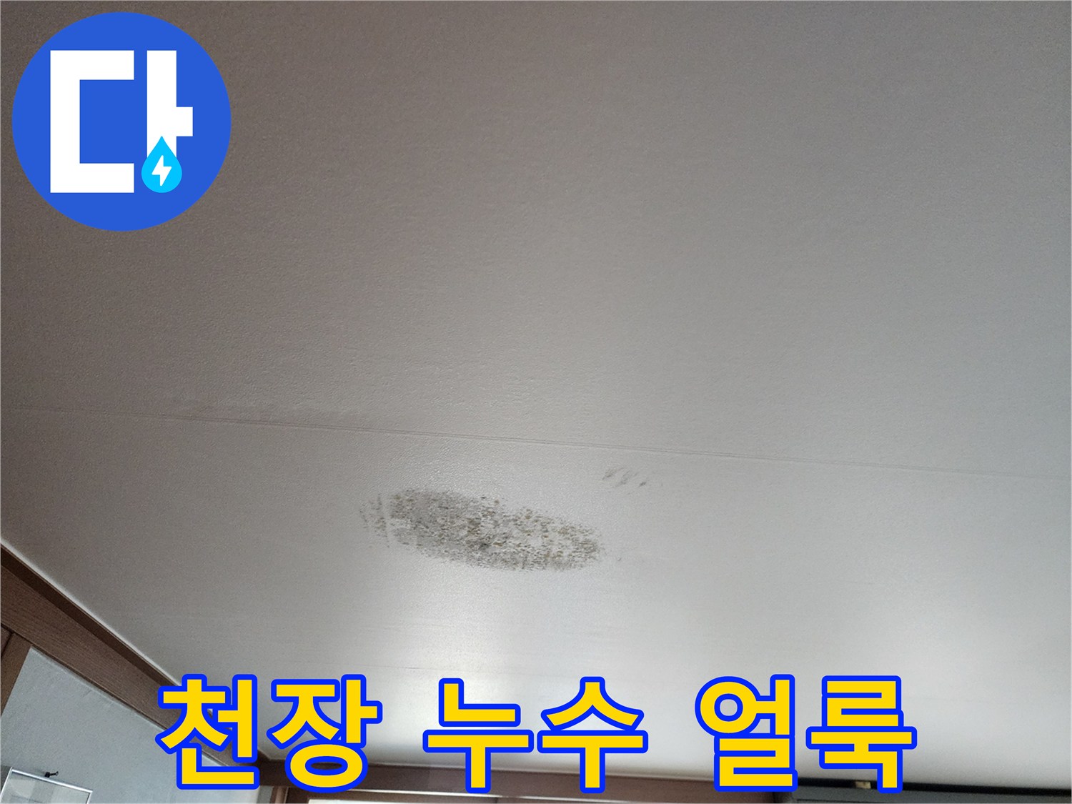 천장 도배지에 발생한 어두운 색의 물샘 흔적