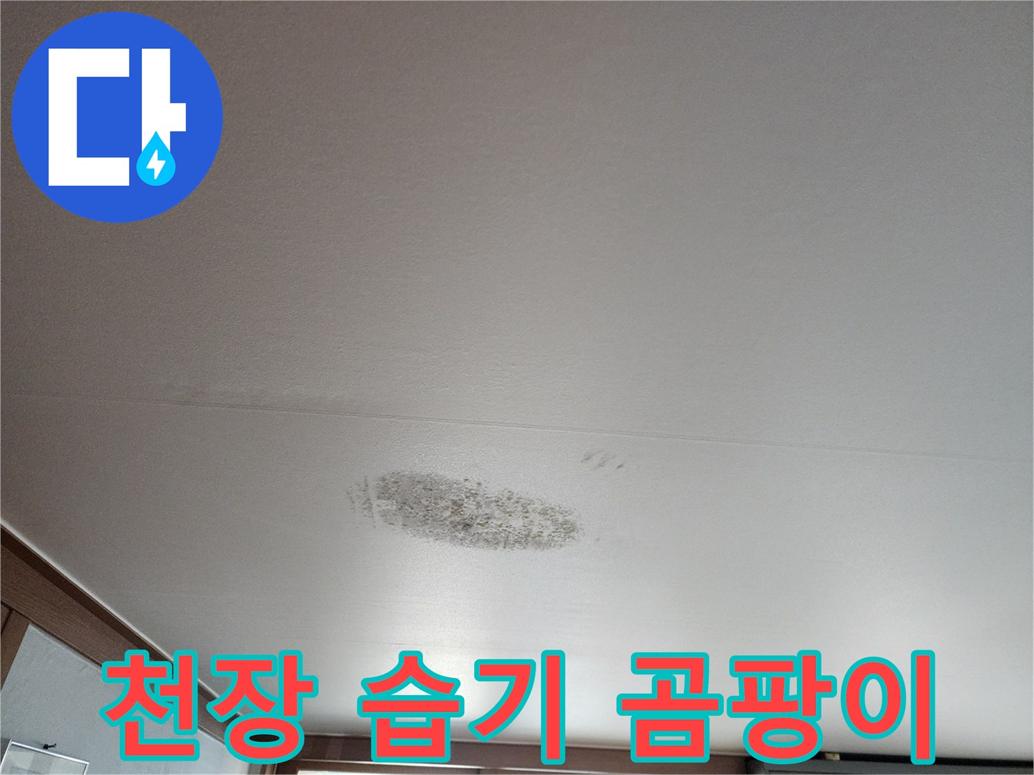 천장-마감재-부근의-습기로-인한-오염-상태