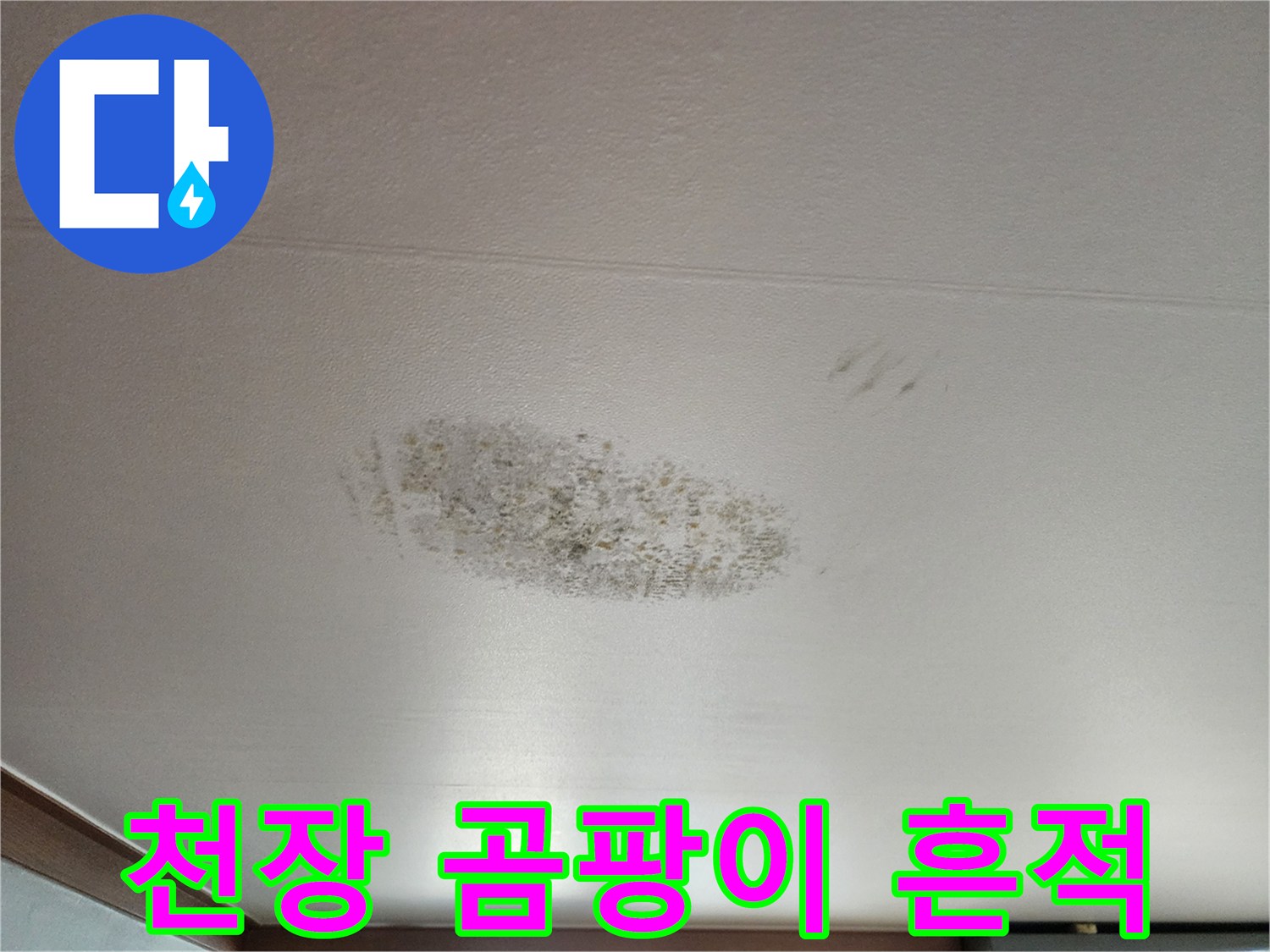 천장 마감재에 나타난 넓은 범위의 곰팡이 오염