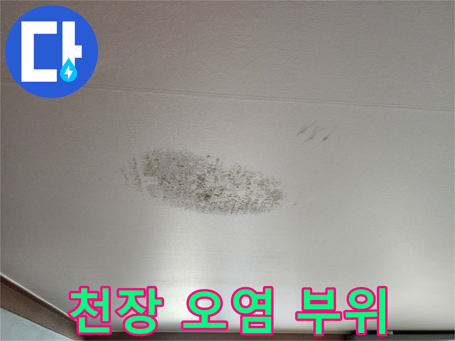 천장 마감재에 나타난 습기 및 곰팡이 흔적