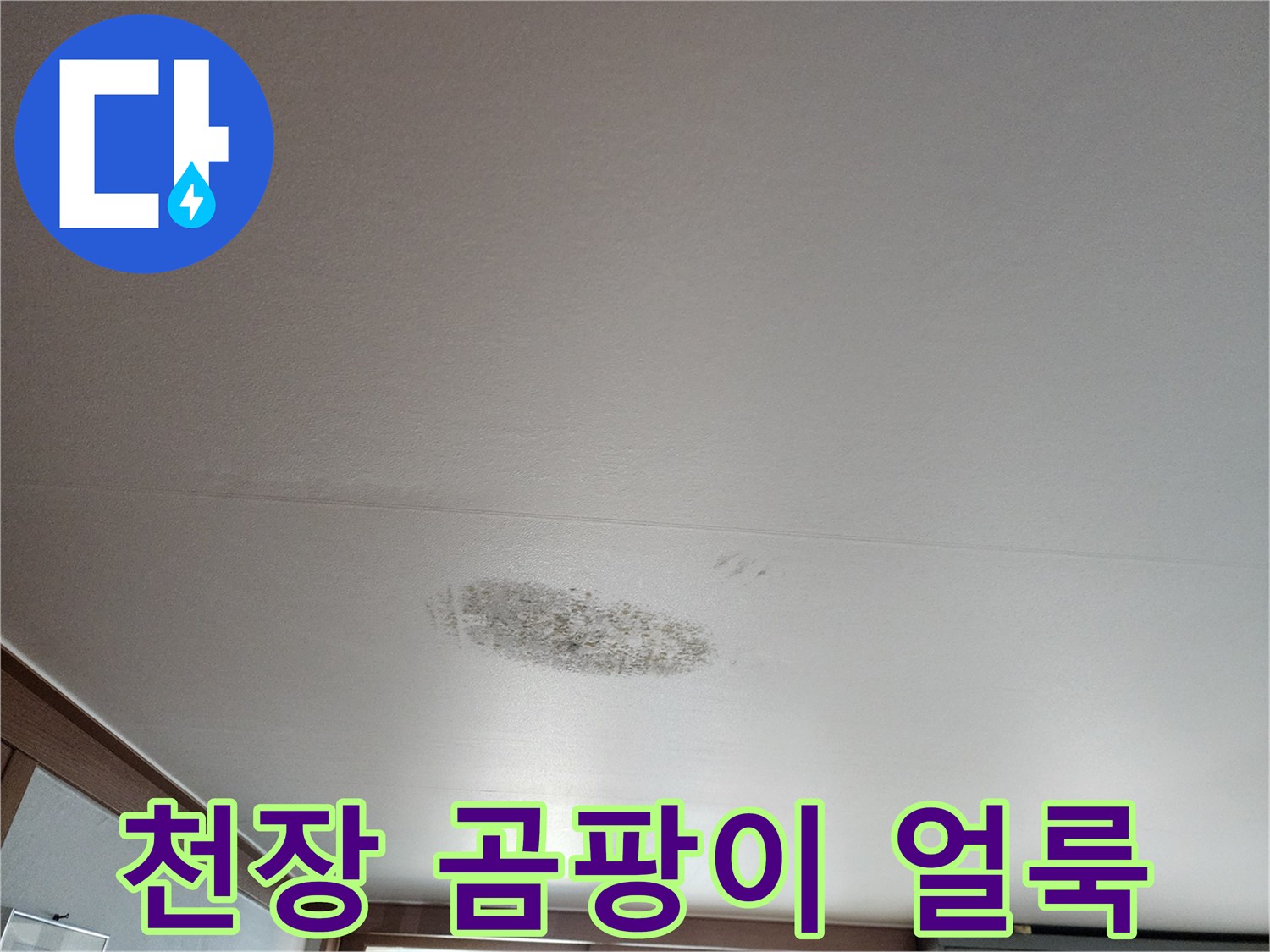 천장 벽지에 나타난 어두운 색의 곰팡이와 습기 흔적