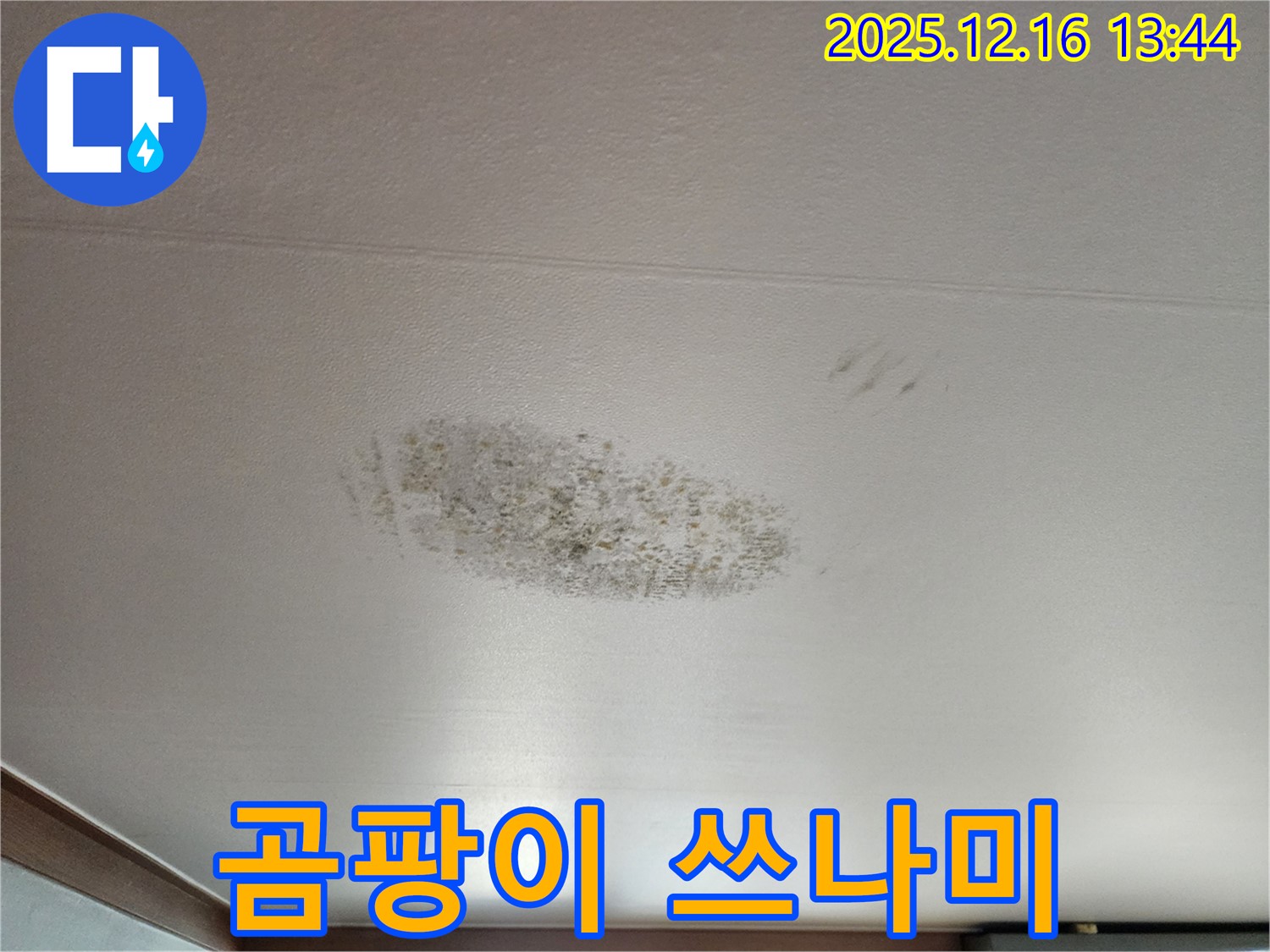 포천 소홀리 누수 - 곰팡이 쓰나미 - 쾌적한 공간