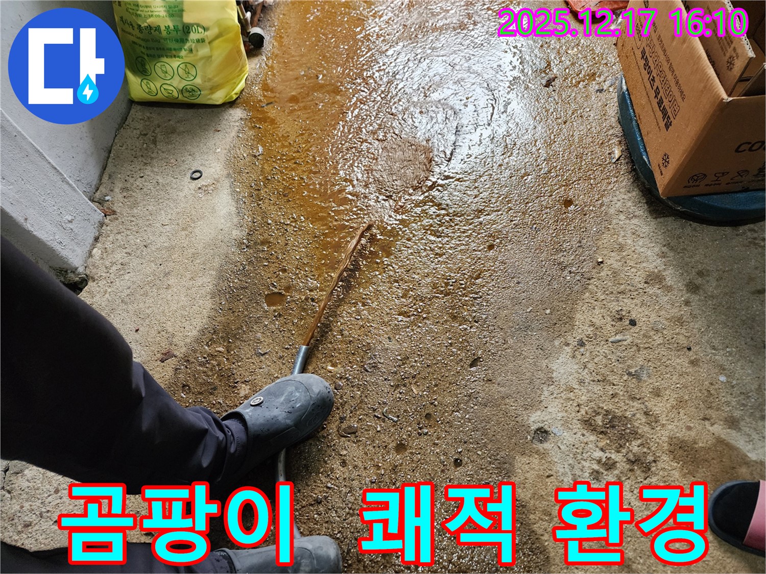 금주리 누수 - 누수 때문에 곰팡이 발생 - 포천 누수, 쾌적한 환경으로