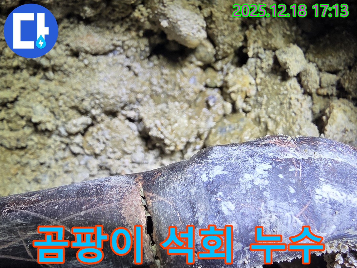 곰팡이와 석회의 콜라보 - 시흥 신천동 누수탐지 전문