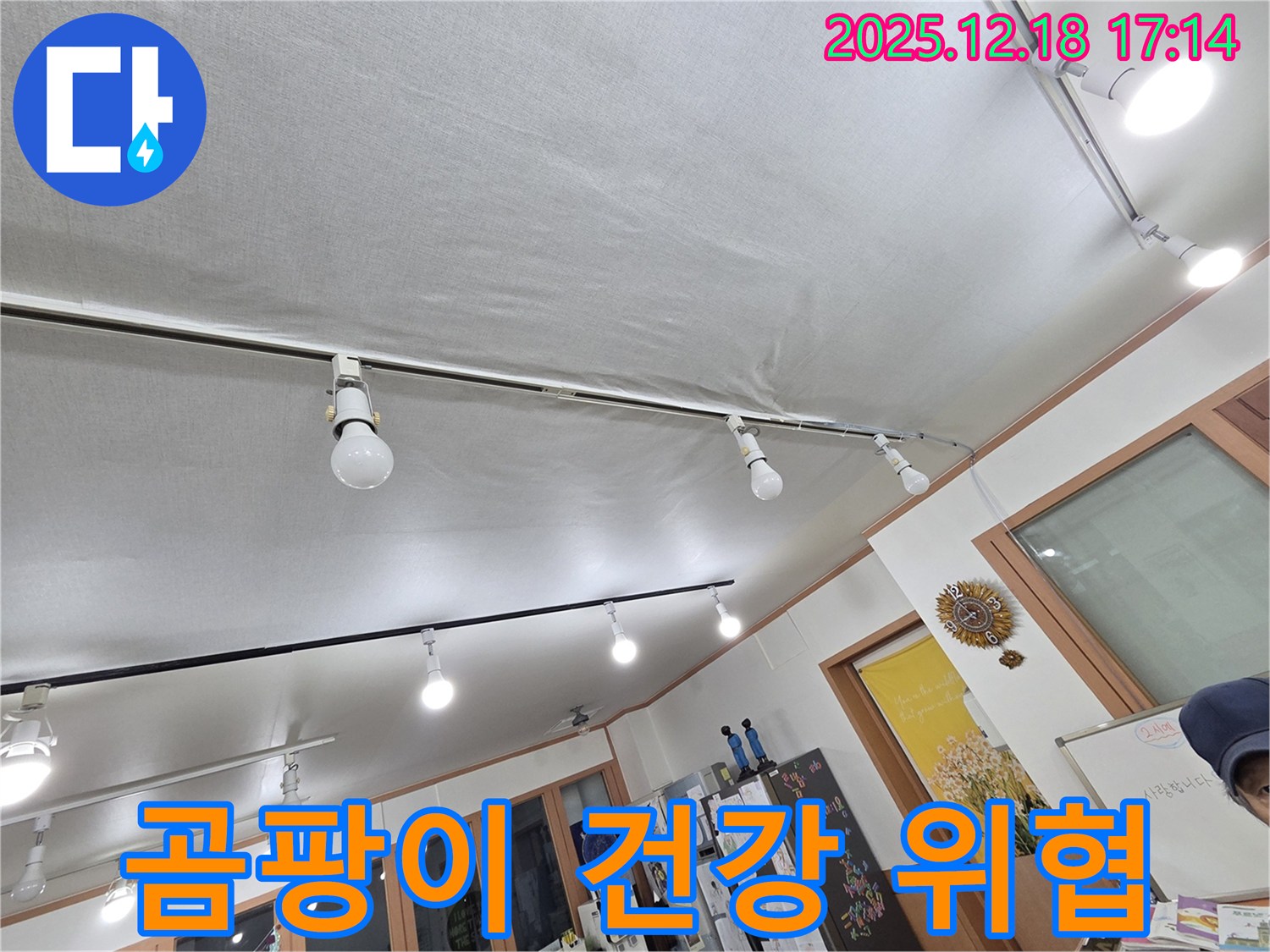 시흥 신천동 누수 - 곰팡이 핀 천장, 건강 적신호 - 곰팡이 제거