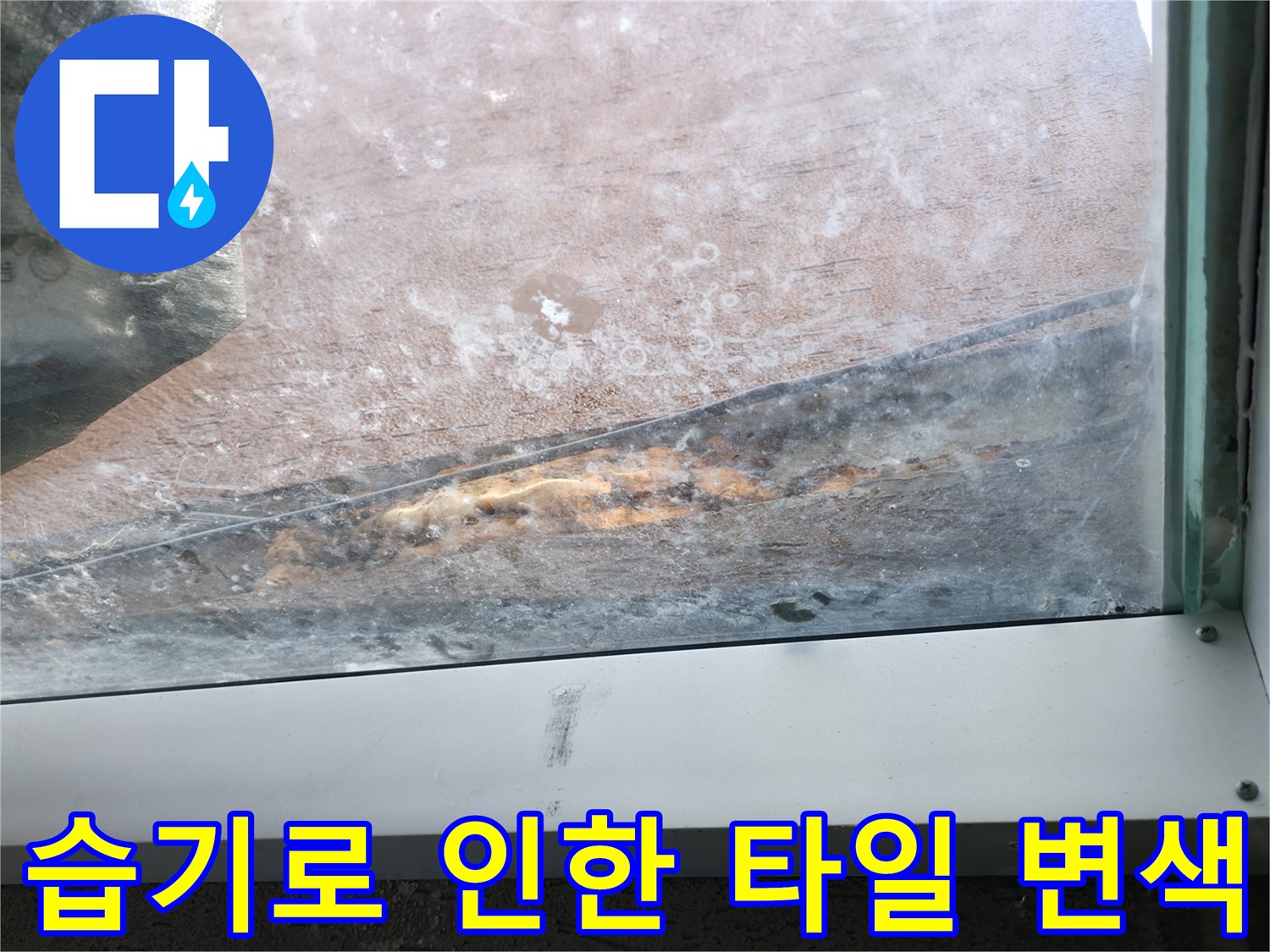 습기에-노출된-타일-틈새의-오염-상태