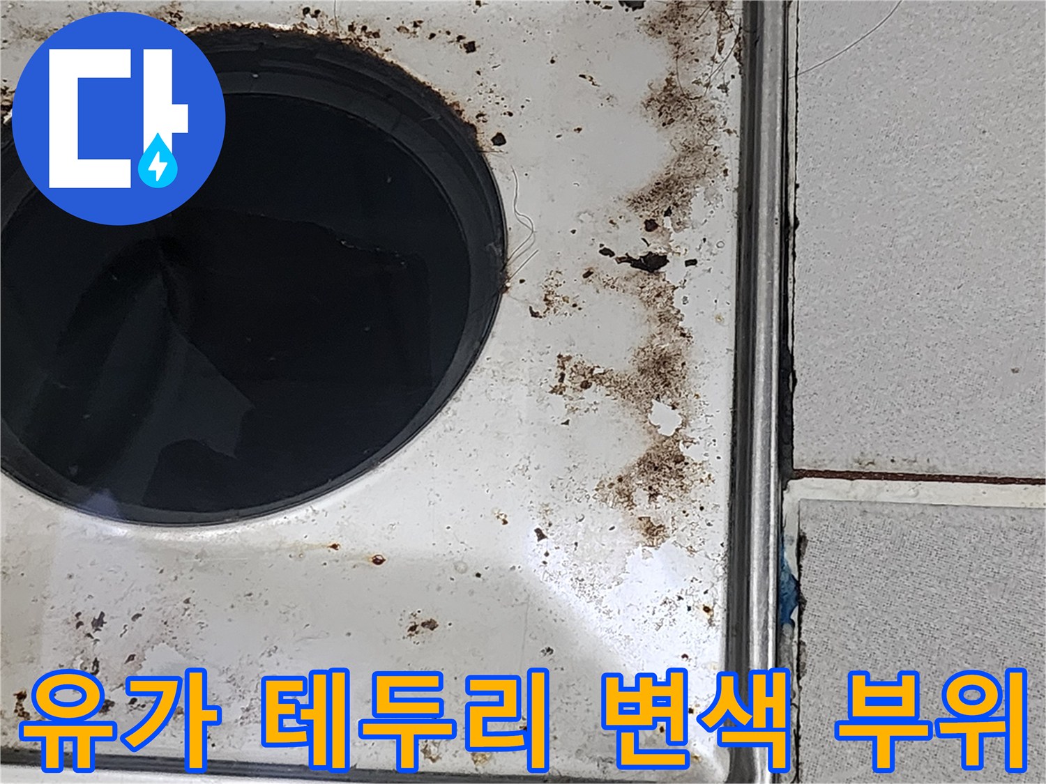 배수구-테두리-타일-사이의-물때와-곰팡이-흔적