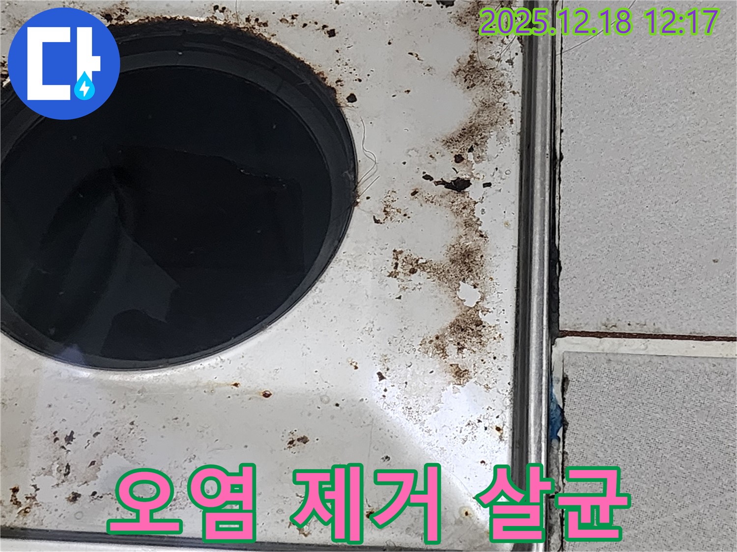 포천시 영북면 가채리 욕실 배수구 주변 오염 제거 및 살균 소독 - 깨끗한 환경 조성