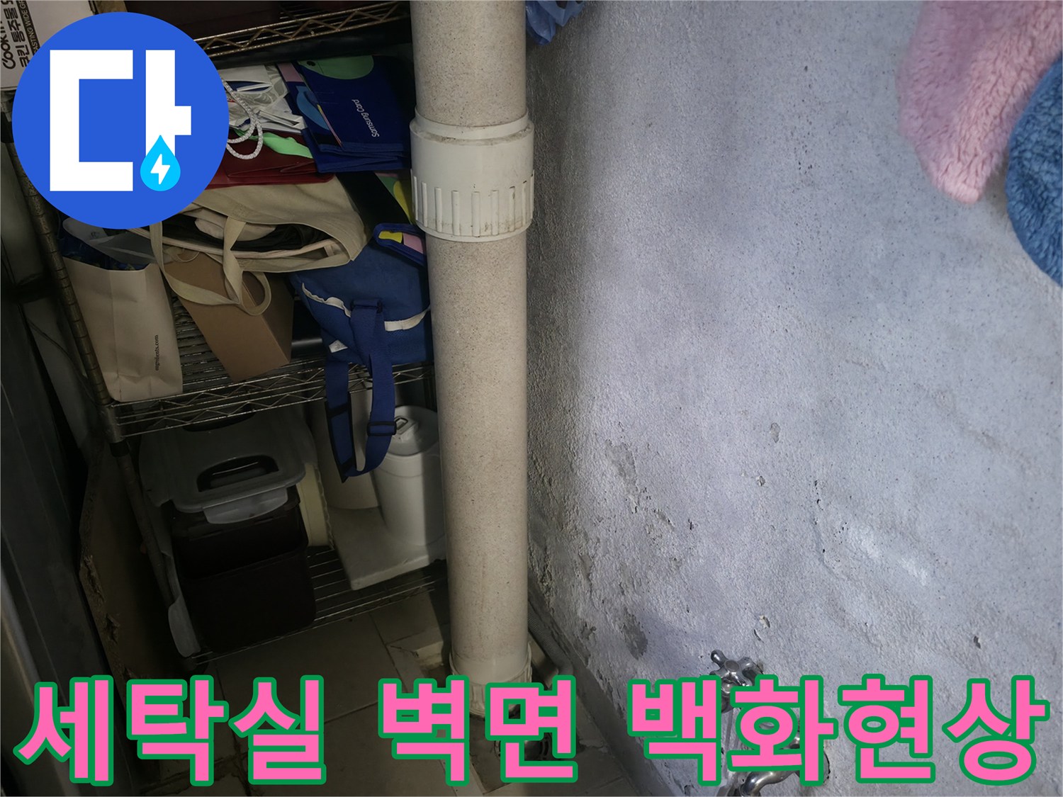 성동구-세탁실-벽면-백화현상이-발생한-배관-주변-모습