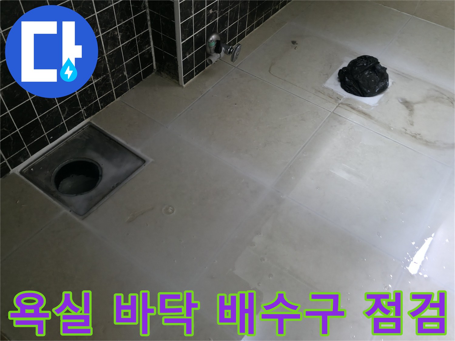 배수구 주변 타일-누수 취약 지점 확인 작업