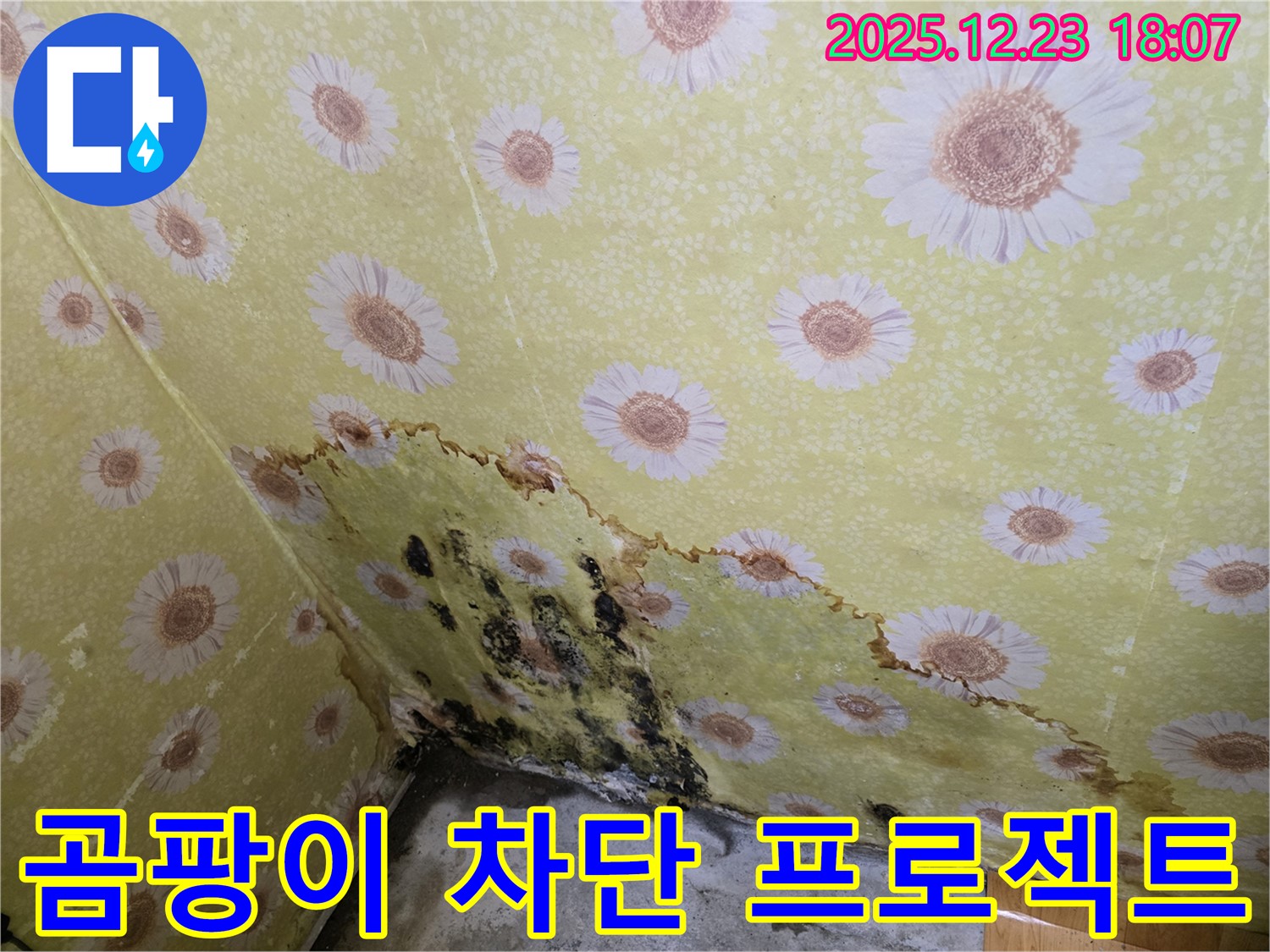 동두천 생연동 벽 누수 곰팡이 차단 - 완벽한 시공으로 곰팡이 걱정 없이 쾌적한 환경 유지! 우리 집 만들기 프로젝트!