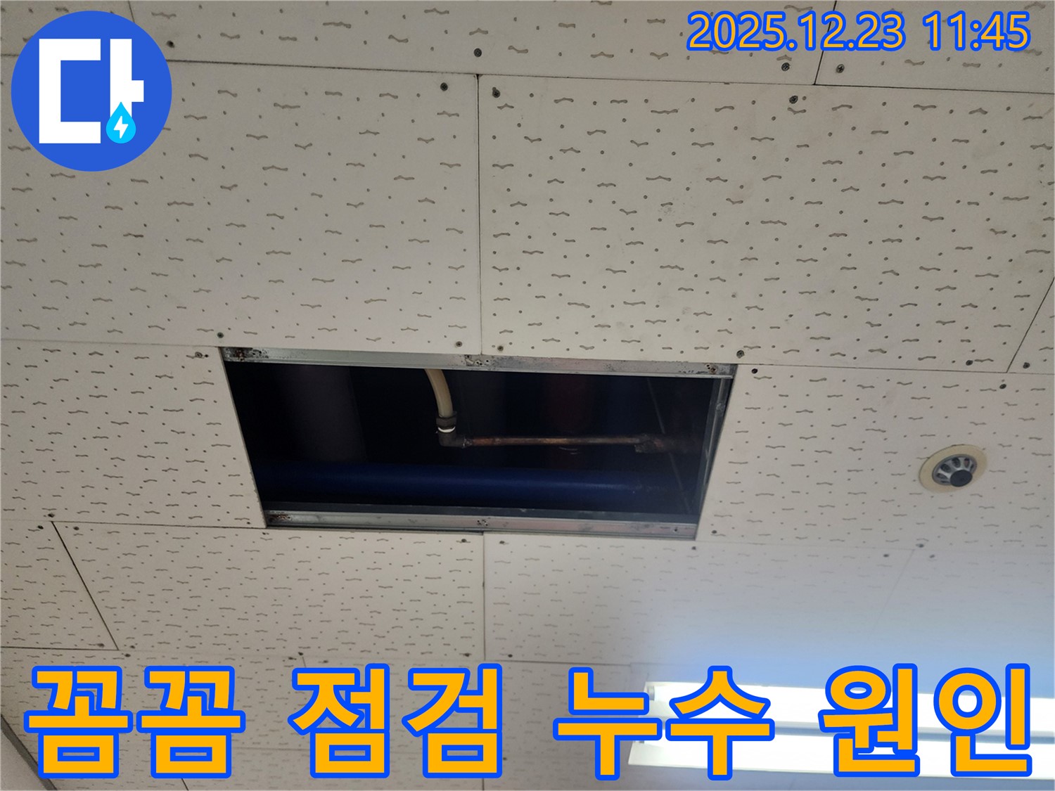 보산동 천장 누수 - 꼼꼼한 점검으로 누수 원인 발견