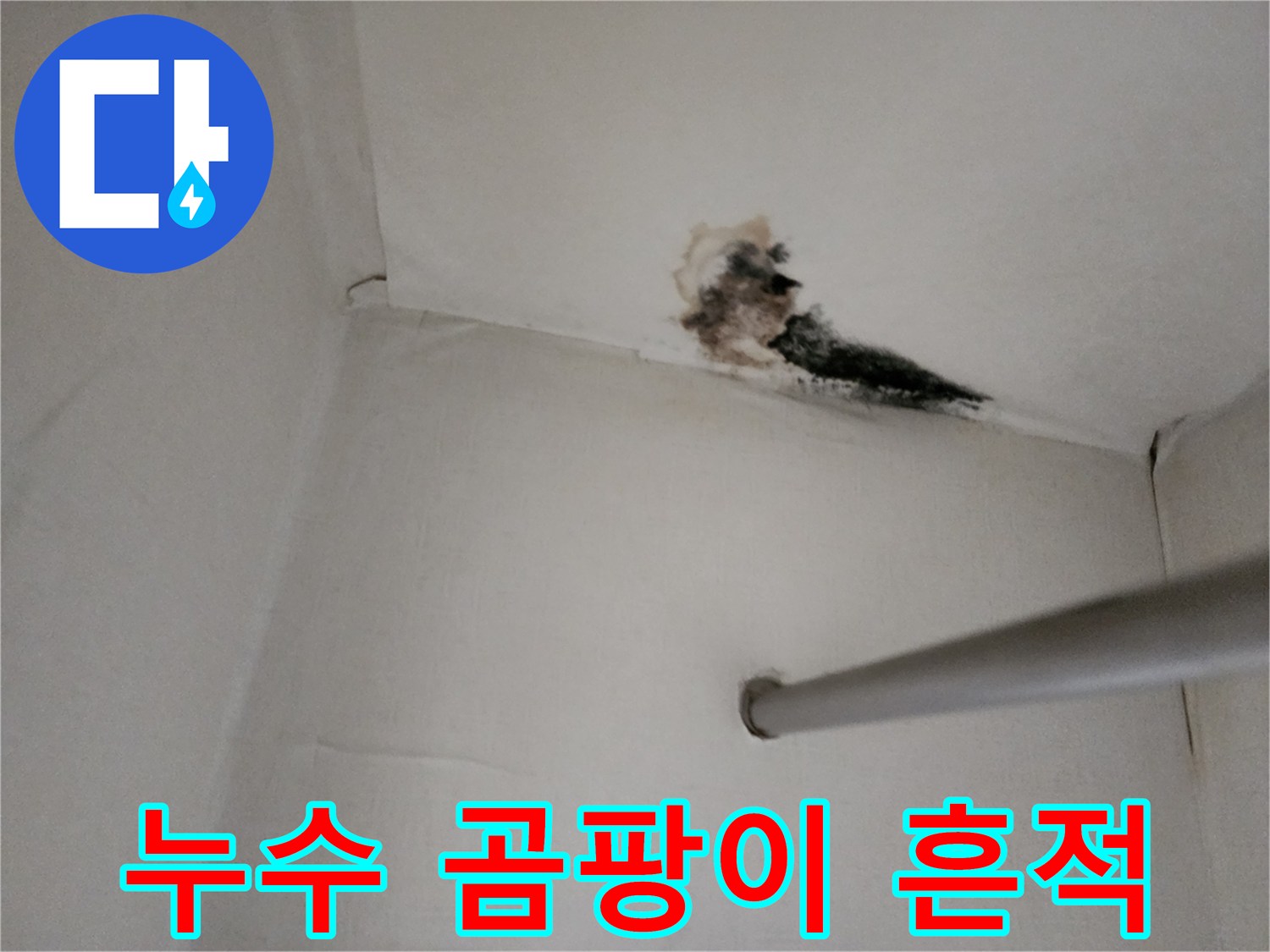 천장 모서리 부위의 검은 곰팡이 발생 상태