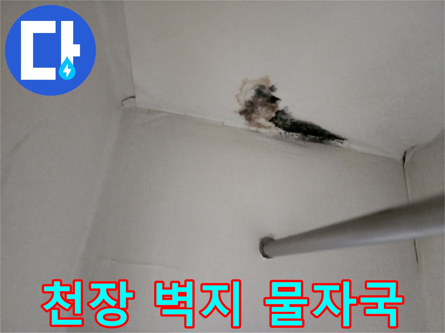 화장실 인근 천장-물기 침투로 인한 벽지 변색과 곰팡이