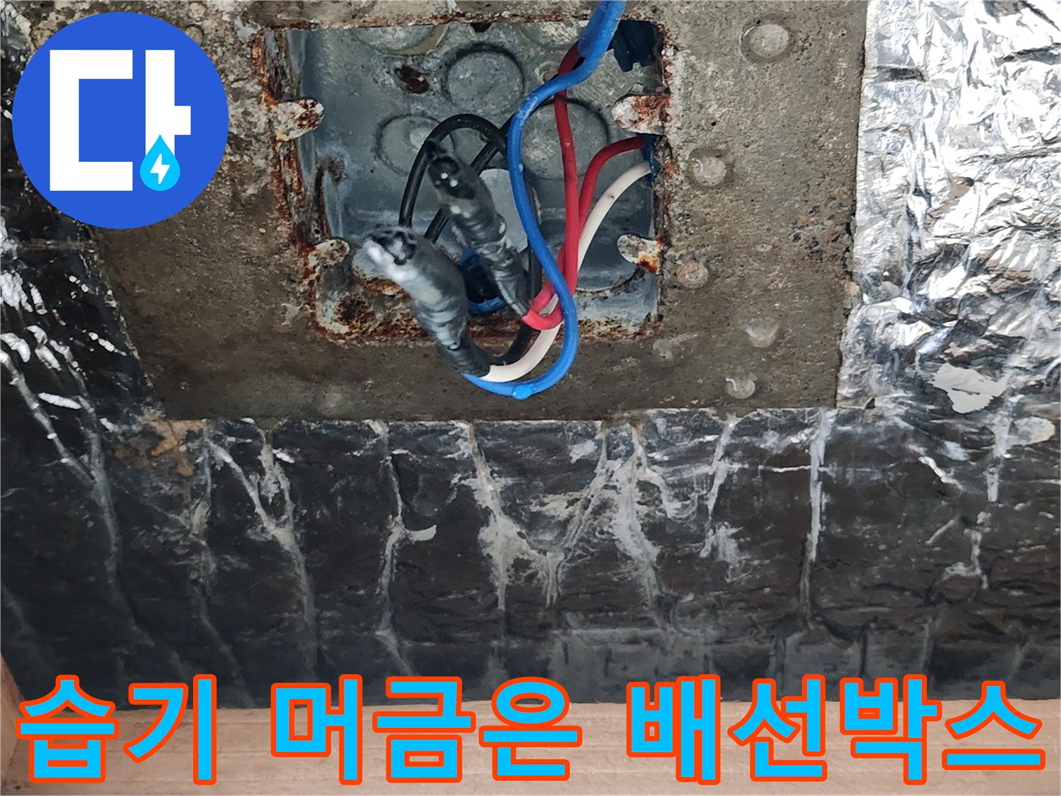 전기 박스 내부-젖어 있는 전선과 주변 마감재 상태
