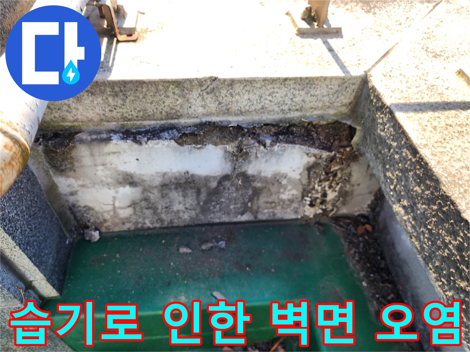 벽면 하단-누수로 인해 발생한 얼룩과 곰팡이 흔적