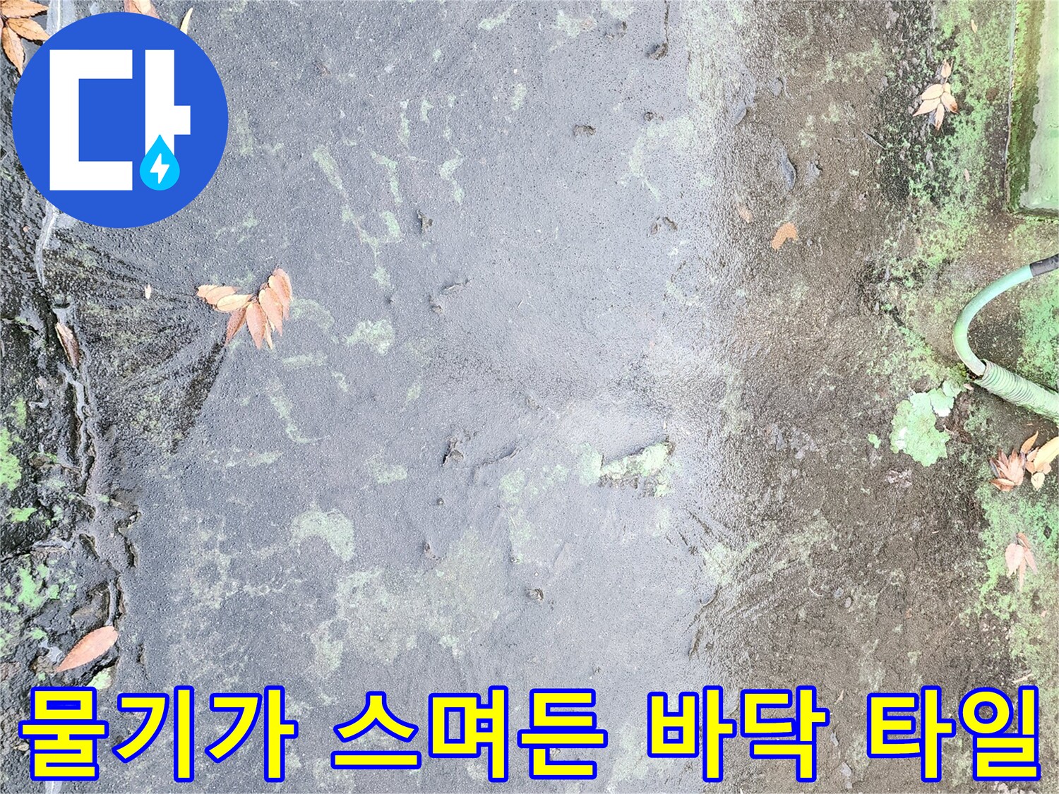 습기로-오염된-바닥과-벽면의-경계선