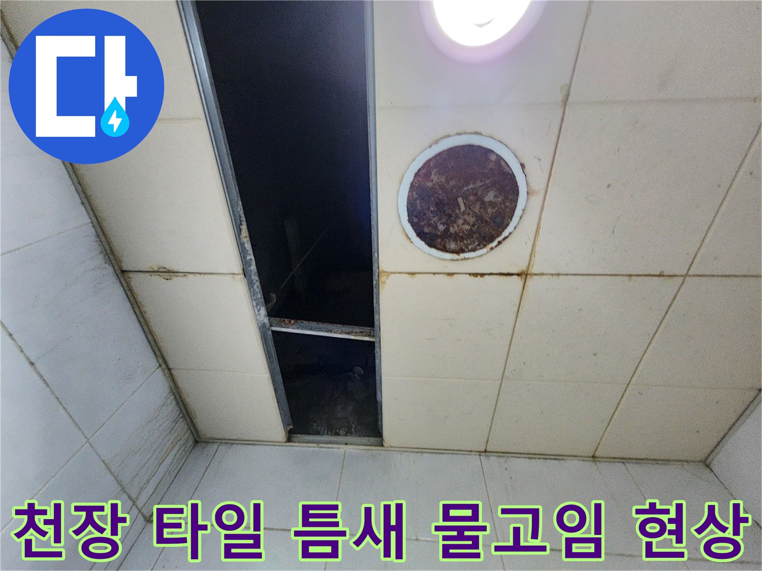 습기로 인해 어둡게 변한 천장 타일의 벌어진 틈
