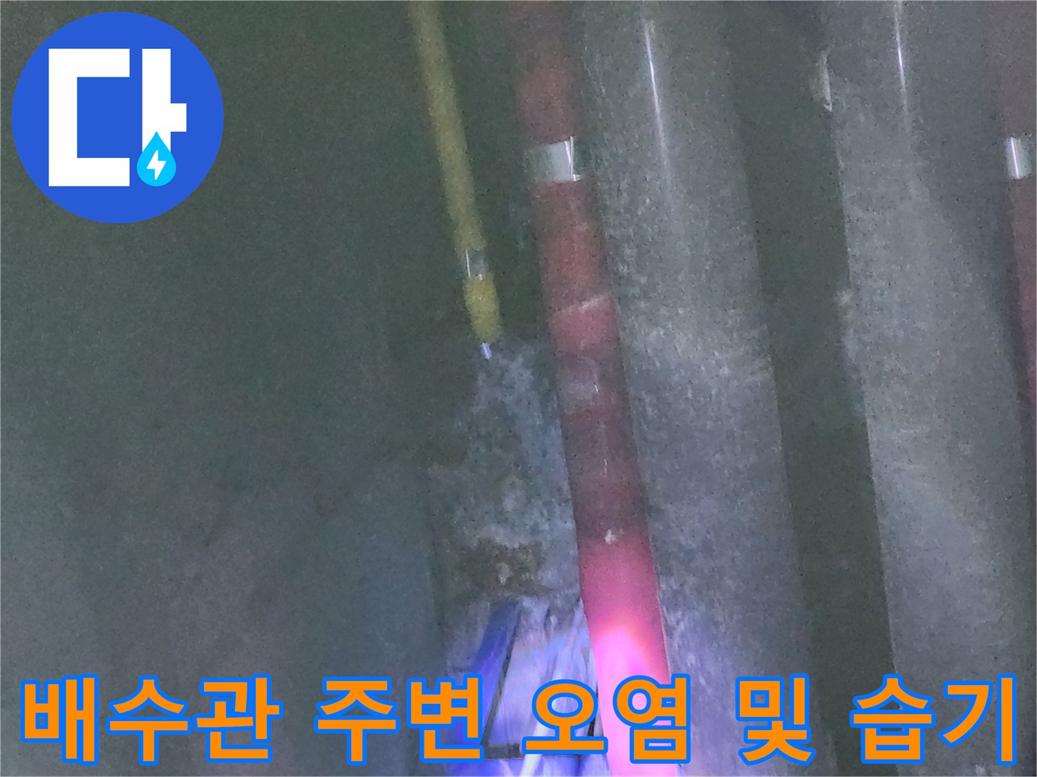 싱크대-하수관-주변-습기-및-이물질-확인