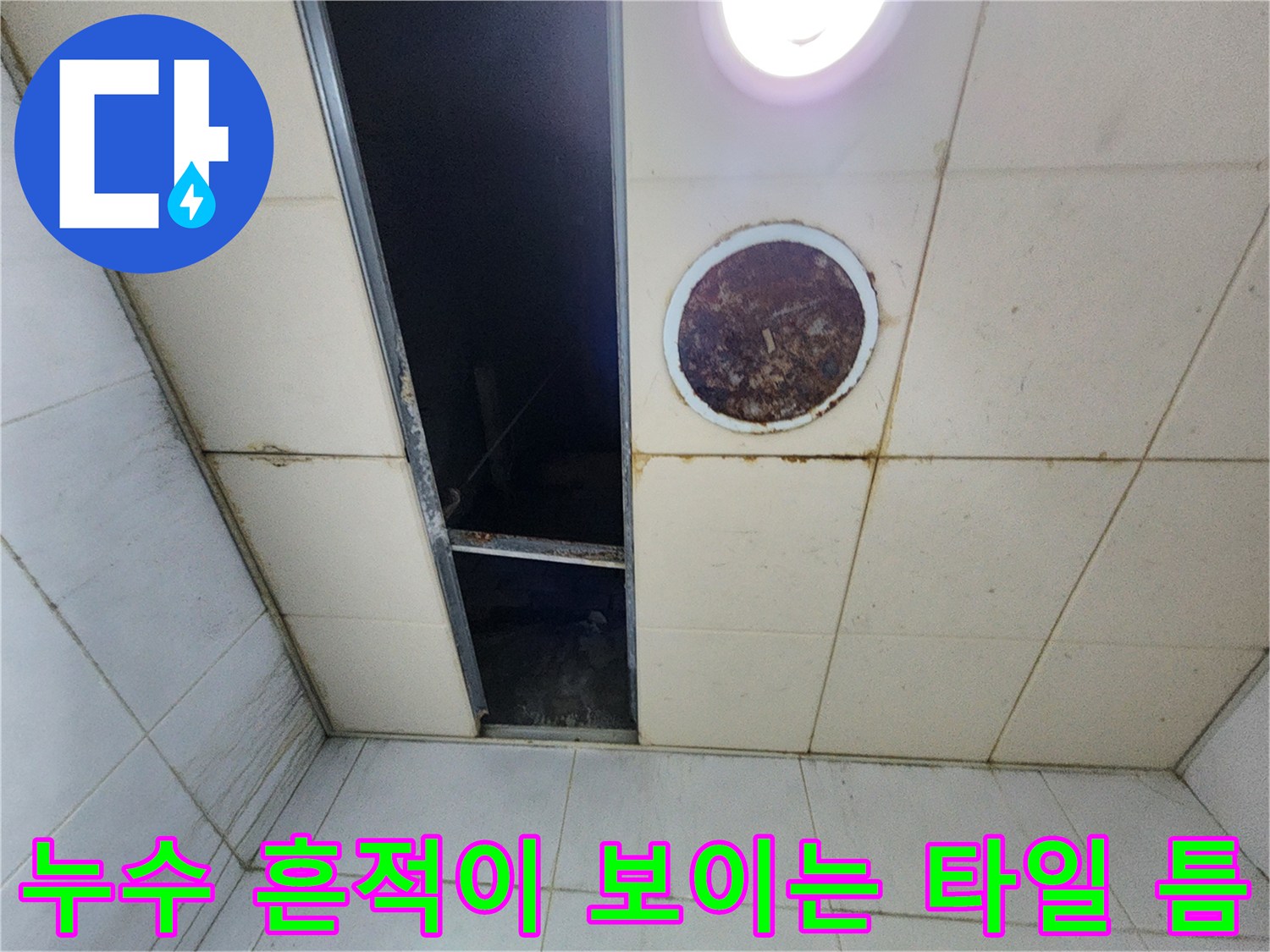 천장 타일 사이의 어두운 습기 침투 구역
