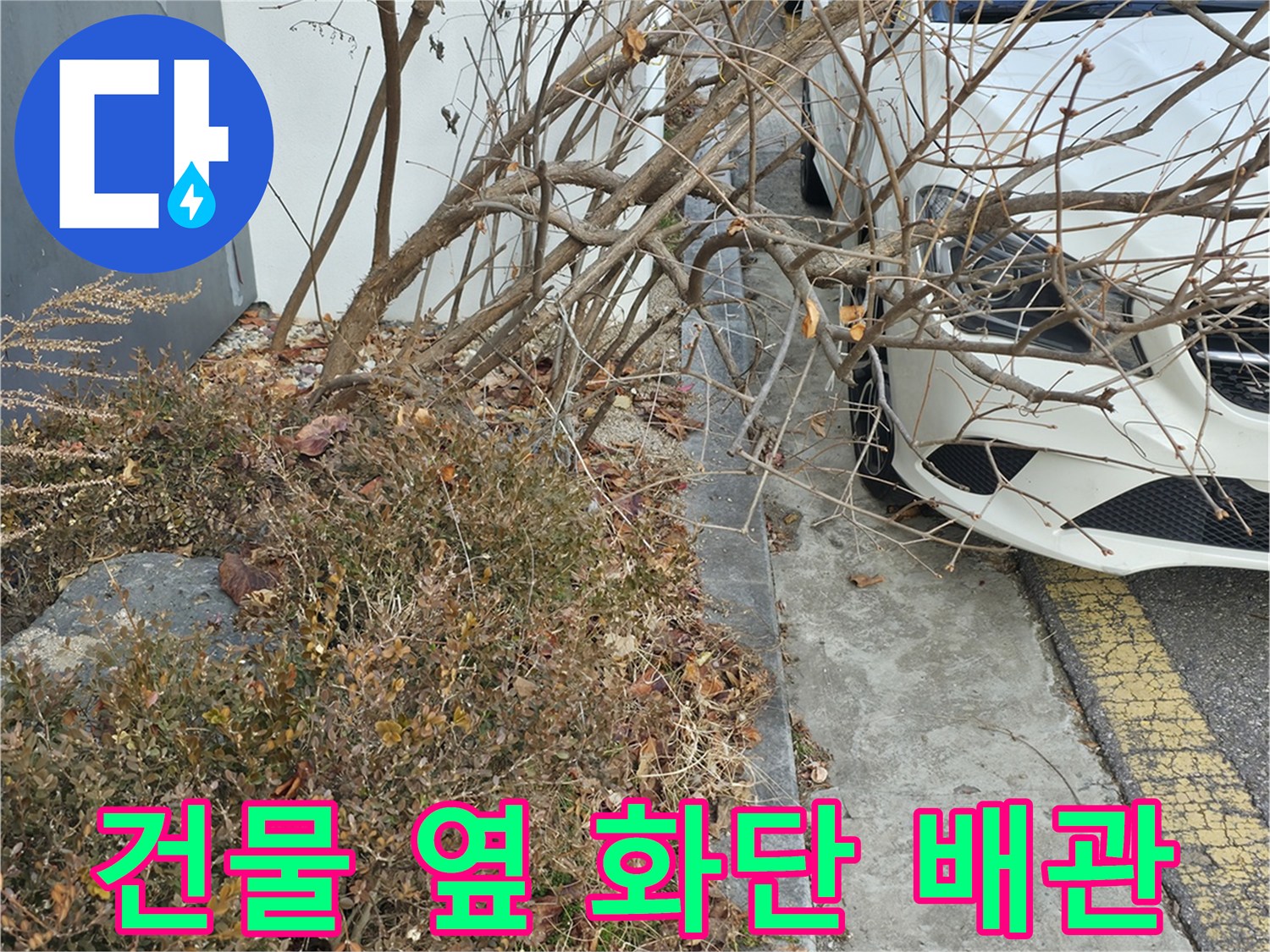 건물-옆-화단-사이-배관-누수-위치-파악